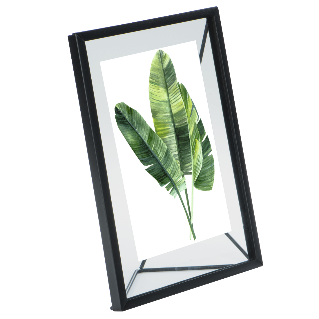 Czarna ramka ze zdjęciem zielonych liści na białym tle.
