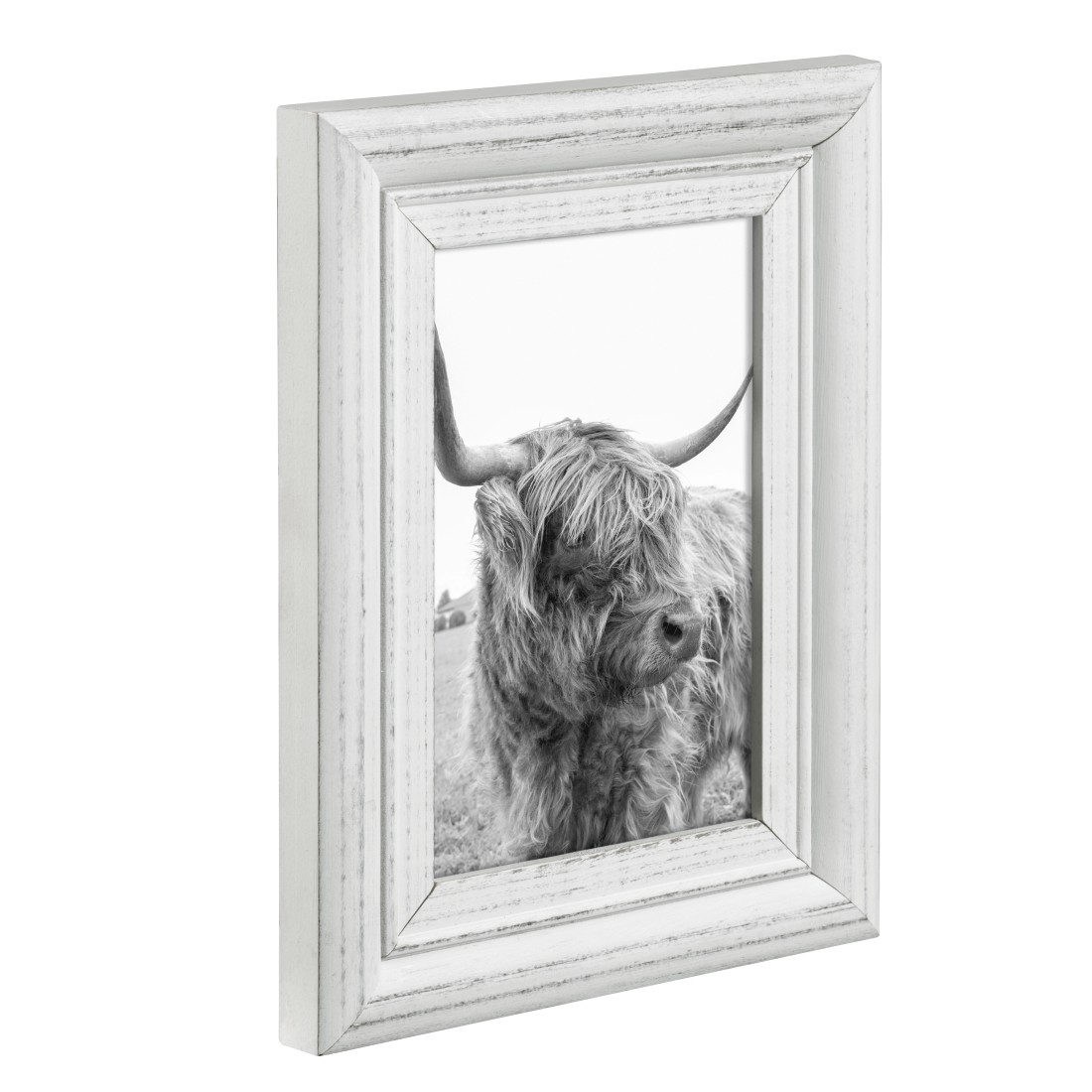 Image en noir et blanc dans un cadre blanc d'une vache des Highlands dans un champ.