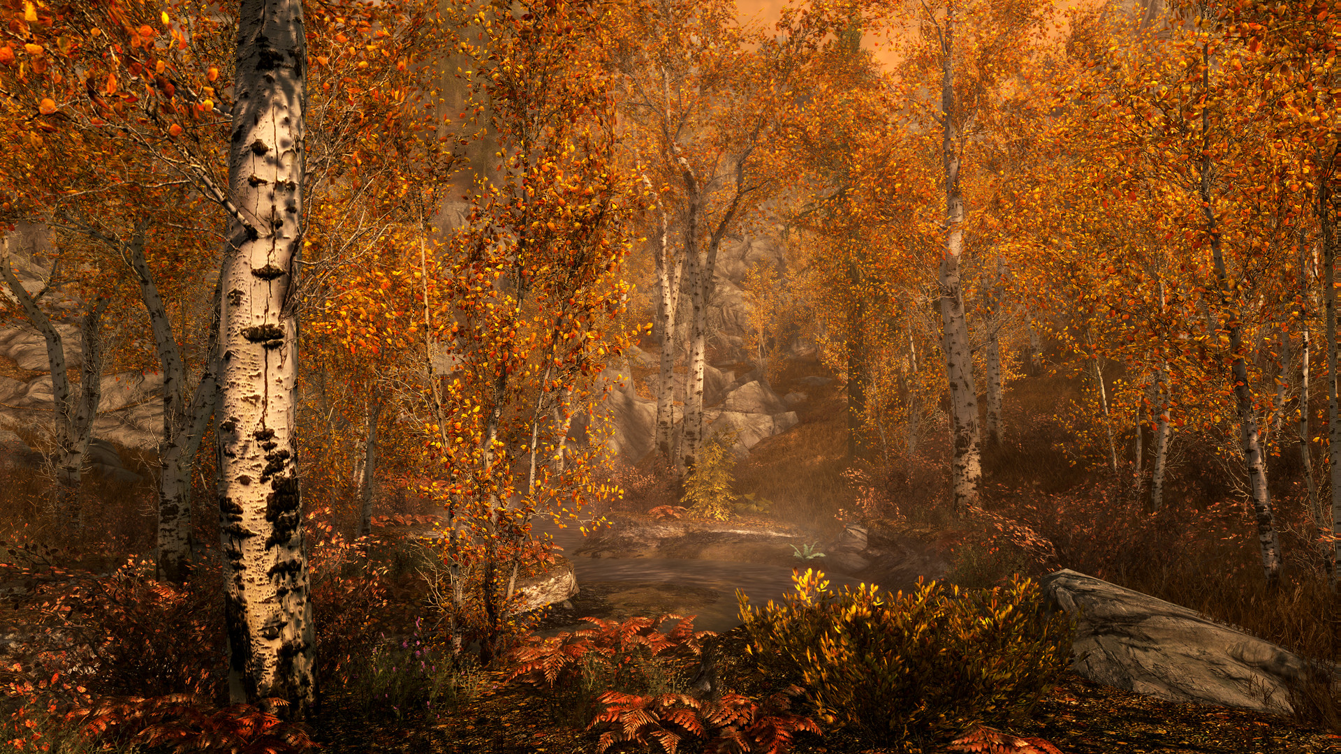 Herbstwald mit Birken, orangefarbenen Blättern, Bach und Felsen. Nebelhafte Atmosphäre.