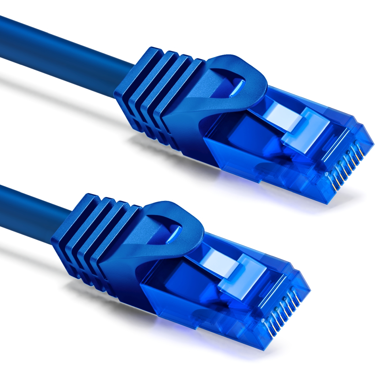 Zwei blaue Netzwerkkabelstecker mit transparenten Kunststofflaschen. Die Kabel sind blau.