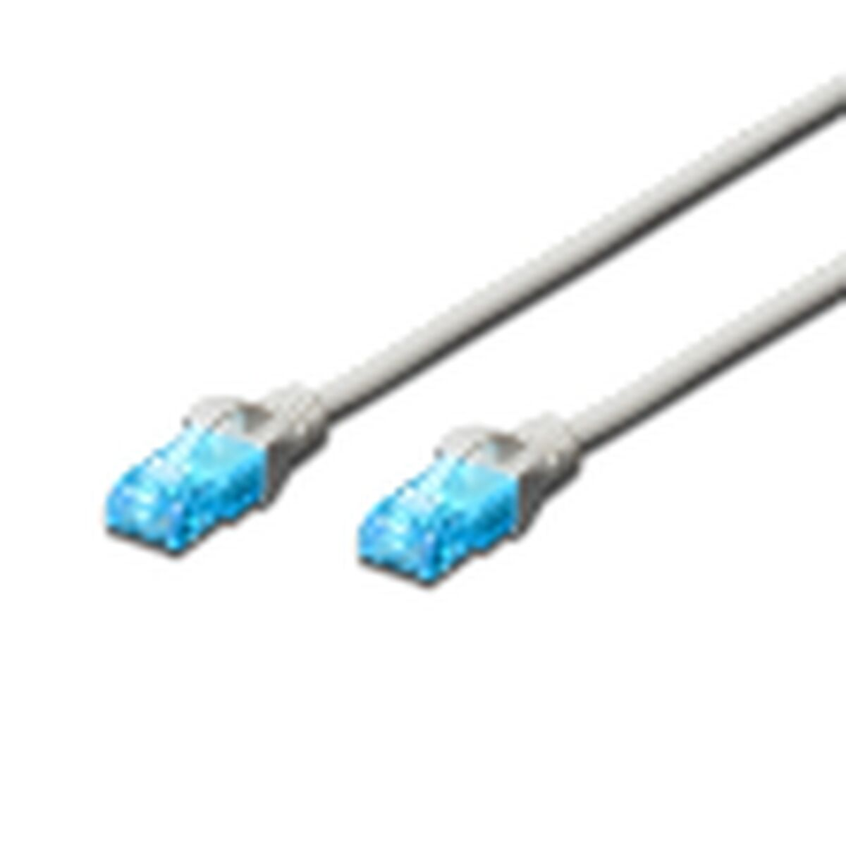 Due cavi Ethernet grigi con connettori blu-trasparenti, sfondo bianco.
