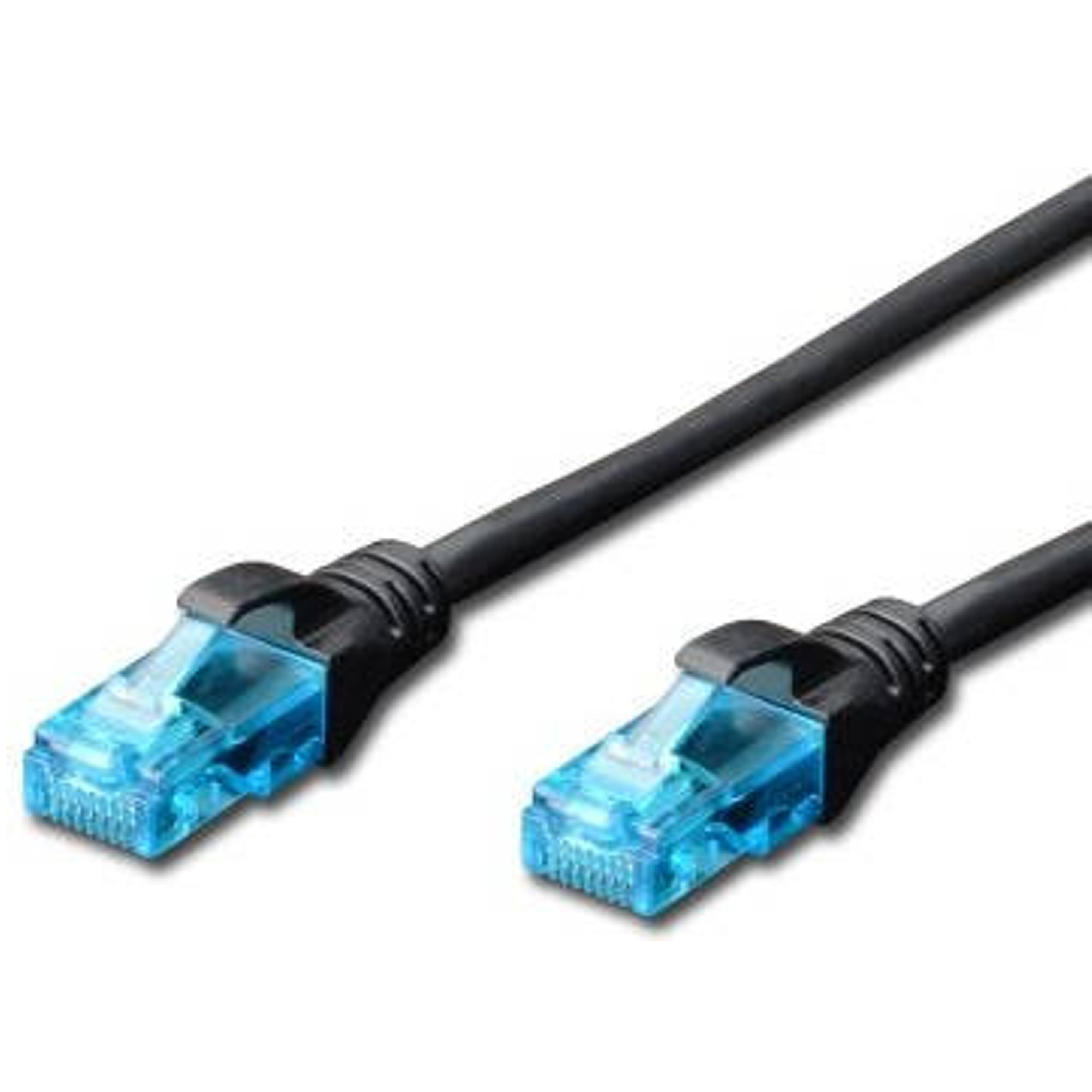 Dos cables Ethernet negros con conectores azules sobre fondo blanco.