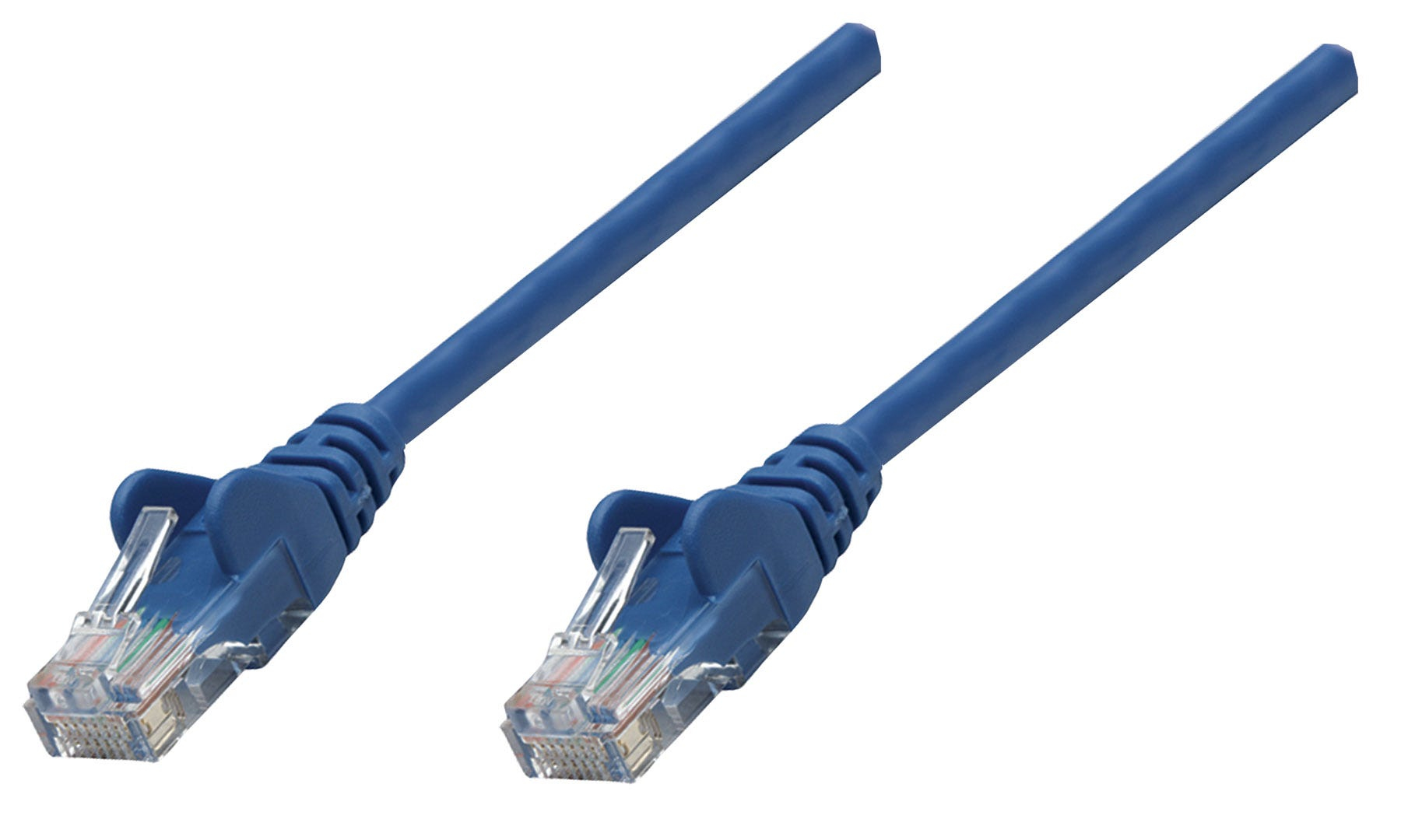 Due cavi Ethernet blu con connettori trasparenti su sfondo bianco.