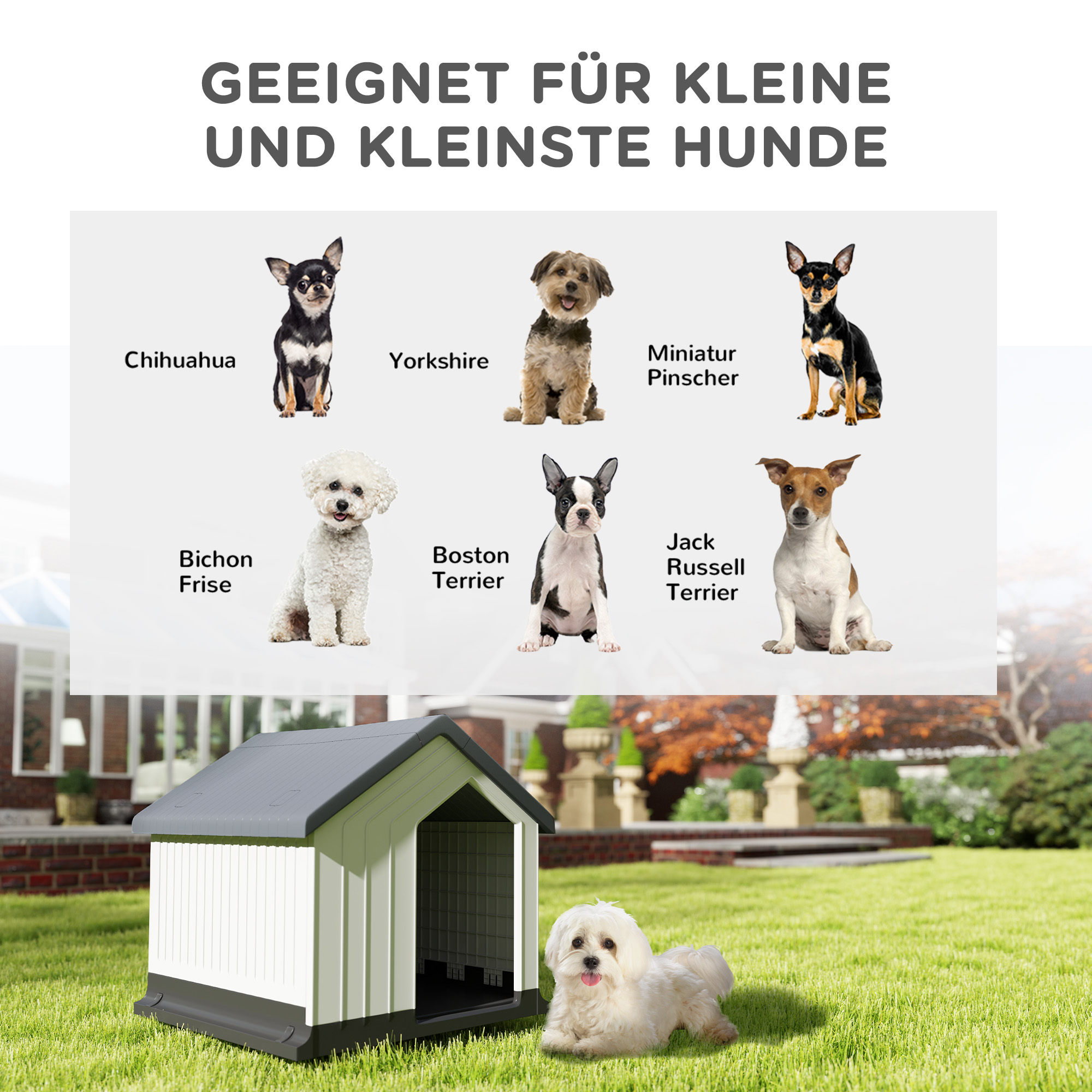 Hundehaus mit verschiedenen Hunderassen davor. Das Haus ist weiß und grau, mit einem liegenden Hund.
