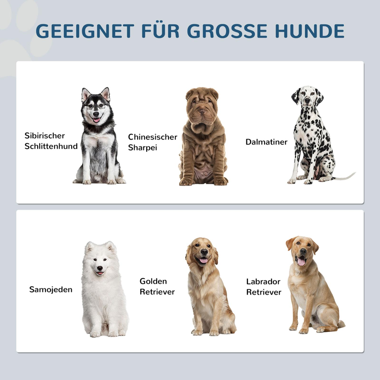 Sechs Hunderassen. Siberian Husky, Shar Pei, Dalmatiner, Samojede, Golden Retriever, Labrador.