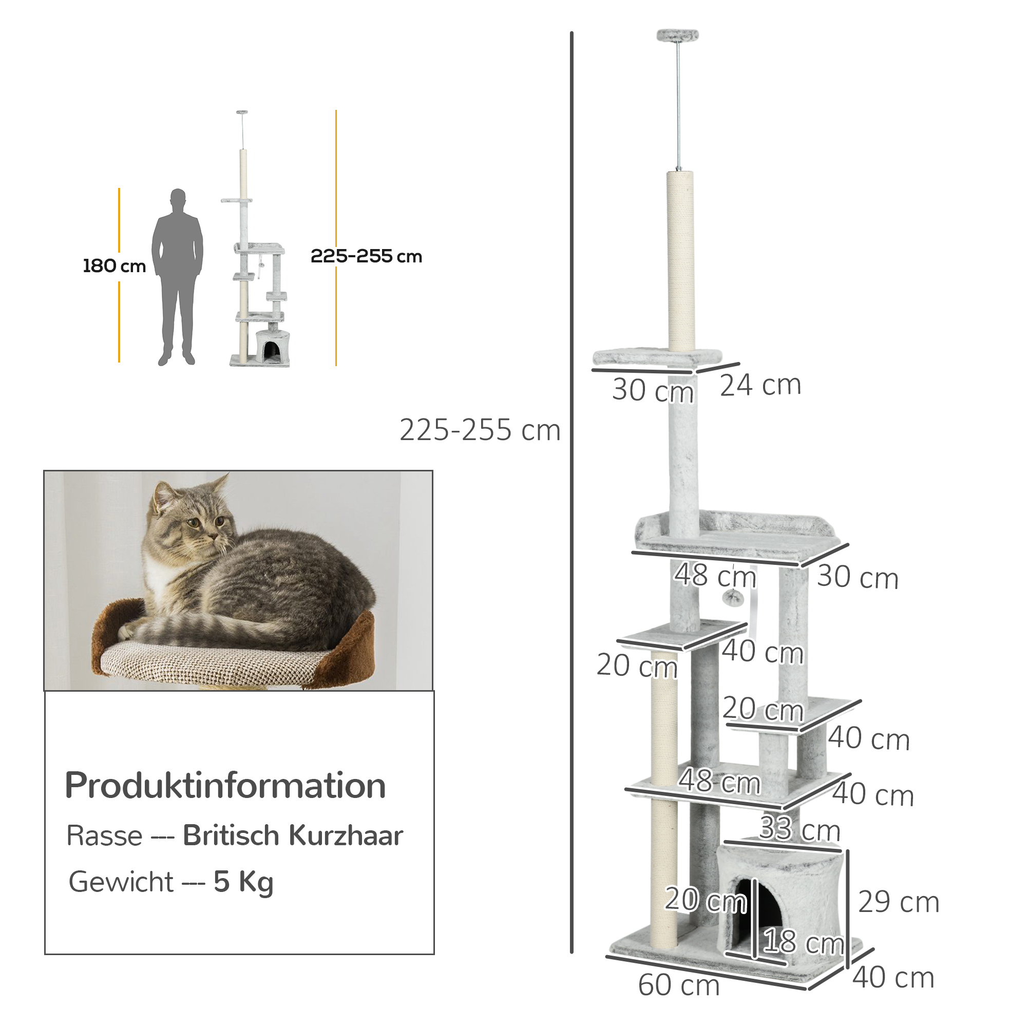Ein Kratzbaum mit einer Katze darauf. Enthält Abmessungen und Informationen zur Katzenrasse.