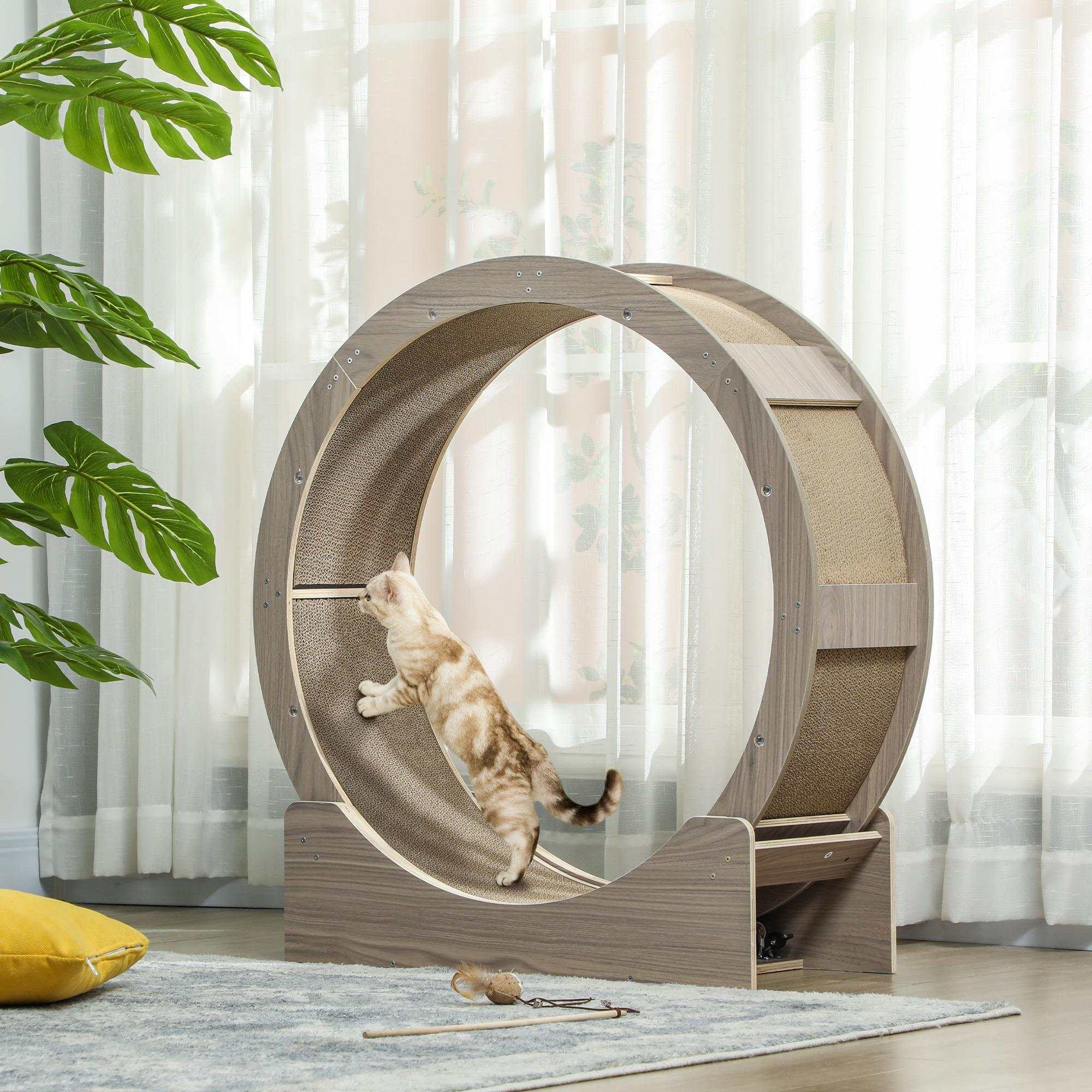 Eine Katze rennt auf einem Katzenrad. Das Rad besteht aus Holz und Pappe.