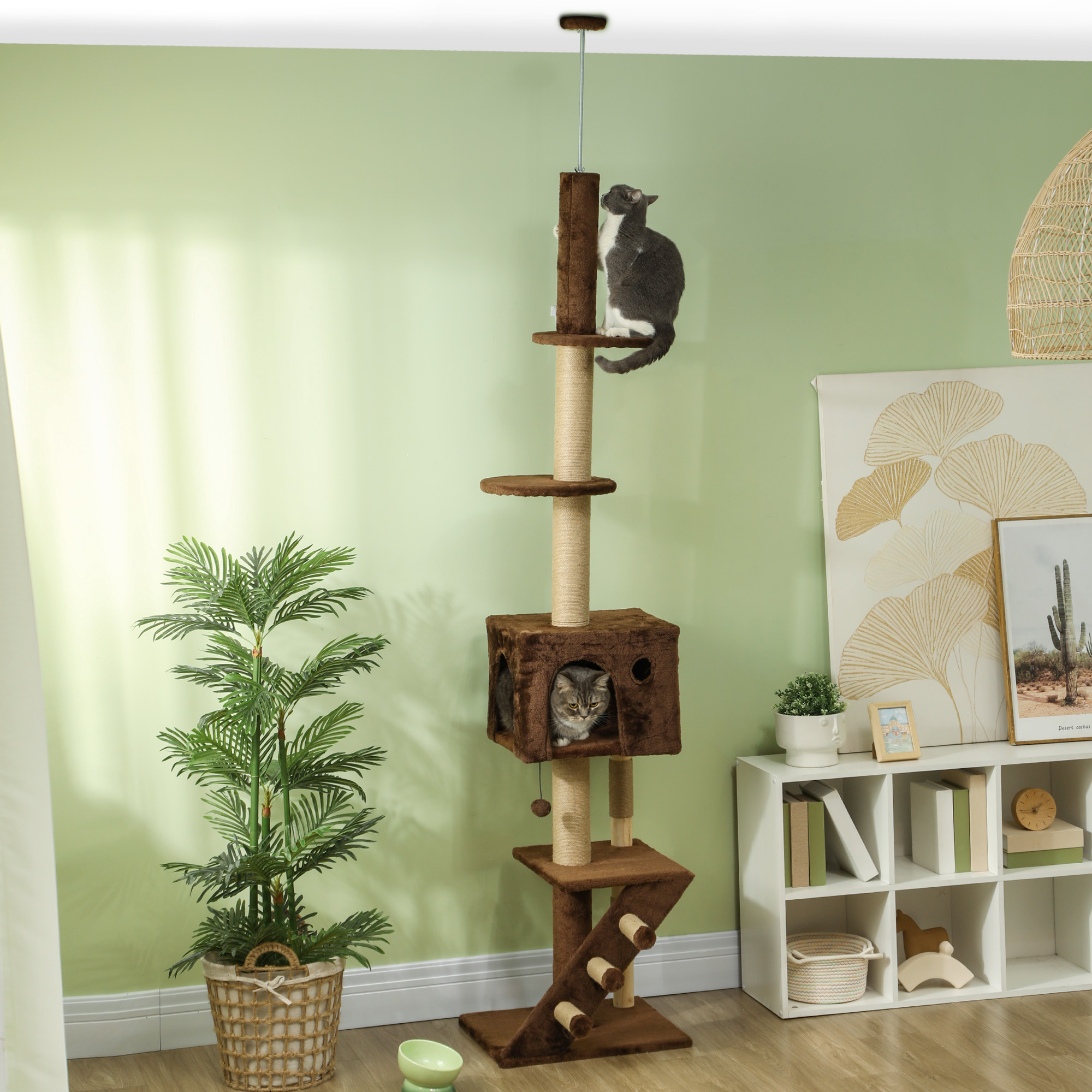 Ein Kratzbaum mit einer Katze, die ihn erklimmt. Eine andere Katze im Haus.