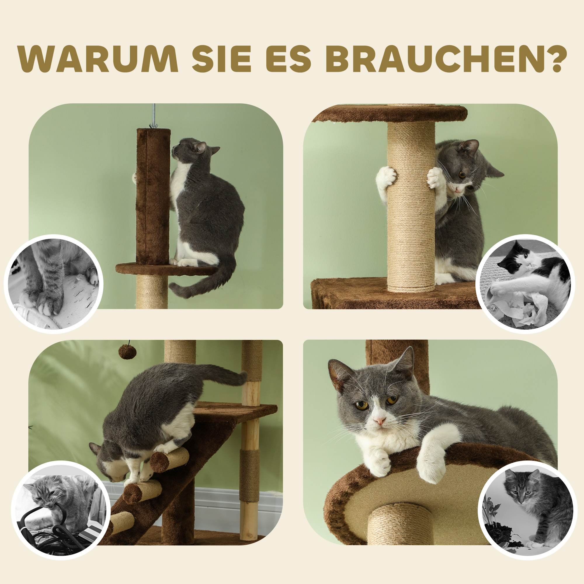 Vier Fotos von Katzen auf Kratzbäumen, mit Schwarz-Weiß-Details. Text: Warum Sie es brauchen?