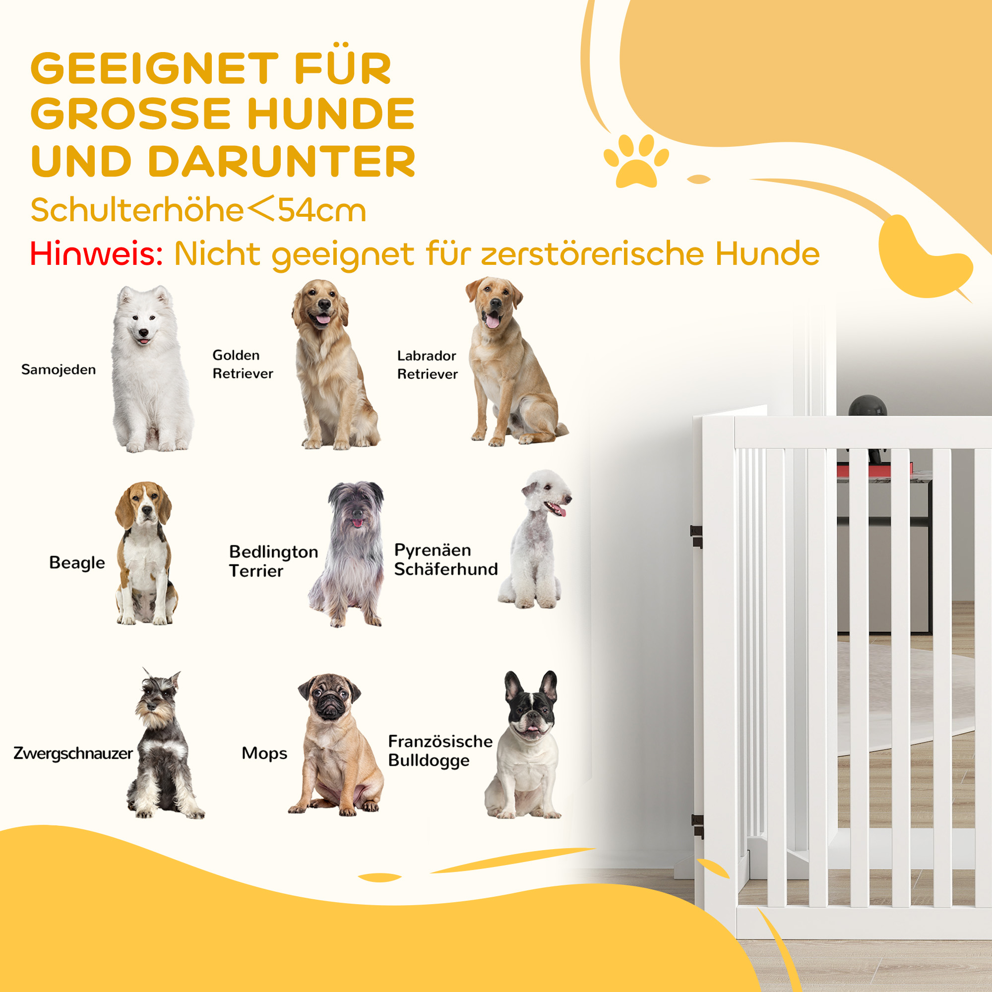 Bild zeigt verschiedene Hunderassen. Text weist auf Eignung für Hunde unter 54 cm Schulterhöhe hin.