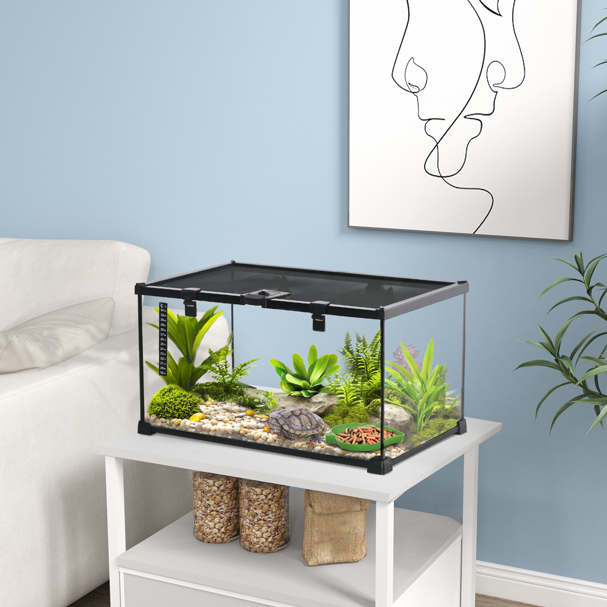 Glasterrarium mit Pflanzen, einer Schildkröte und einem dekorativen Hintergrund.