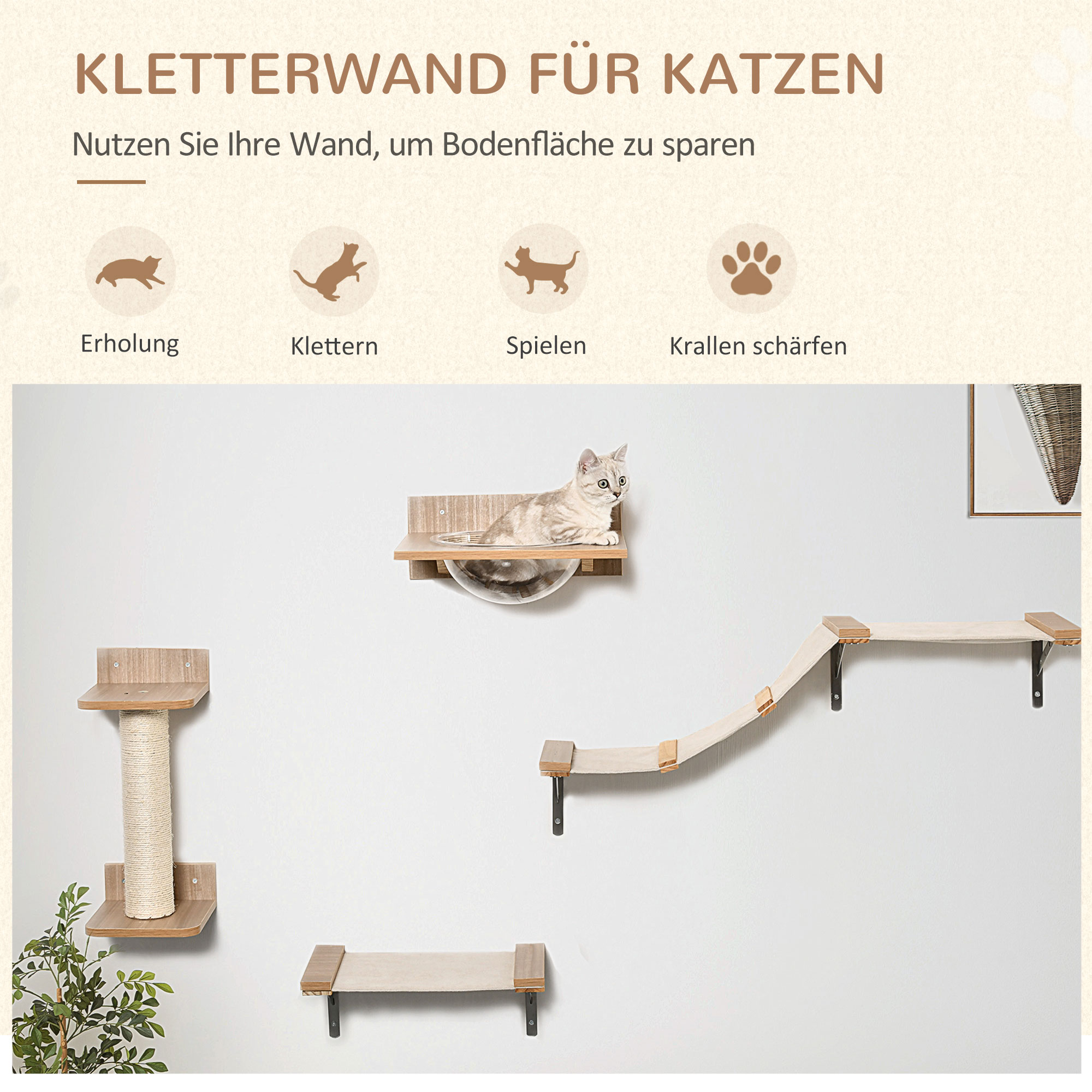 Katzenwand mit Katze auf Regal. Enthält Klettern, Spielen und Kratzen.