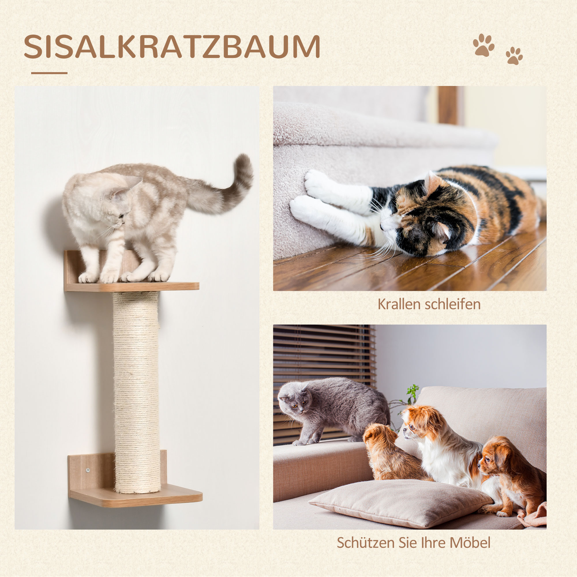 Katzen benutzen Kratzbaum, Katzenregal und eine Katze ruht sich aus. Drei Katzen im Bild.