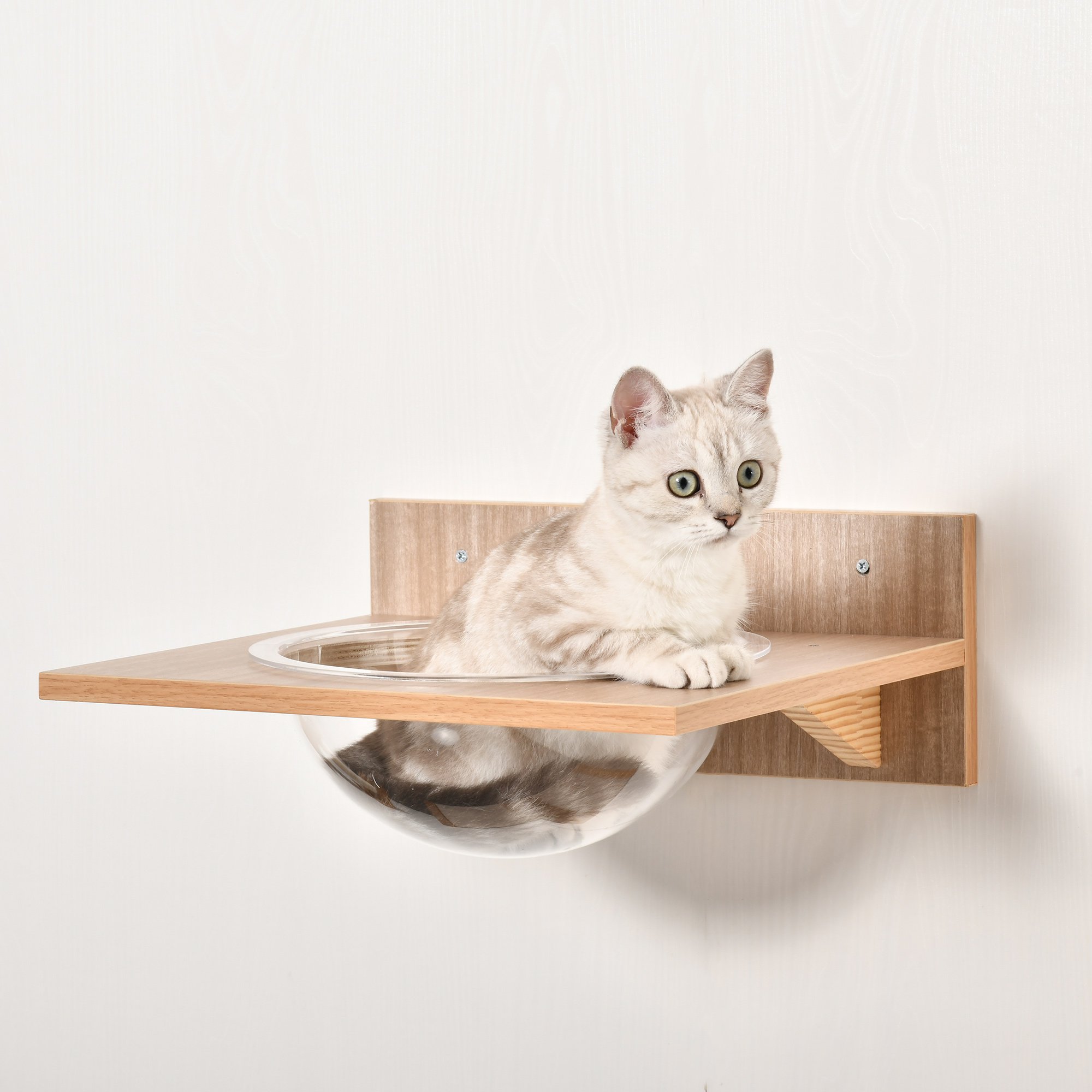 Katze sitzt auf einem Katzenregal aus Holz mit einer durchsichtigen Schüssel. Weißer Wandhintergrund.