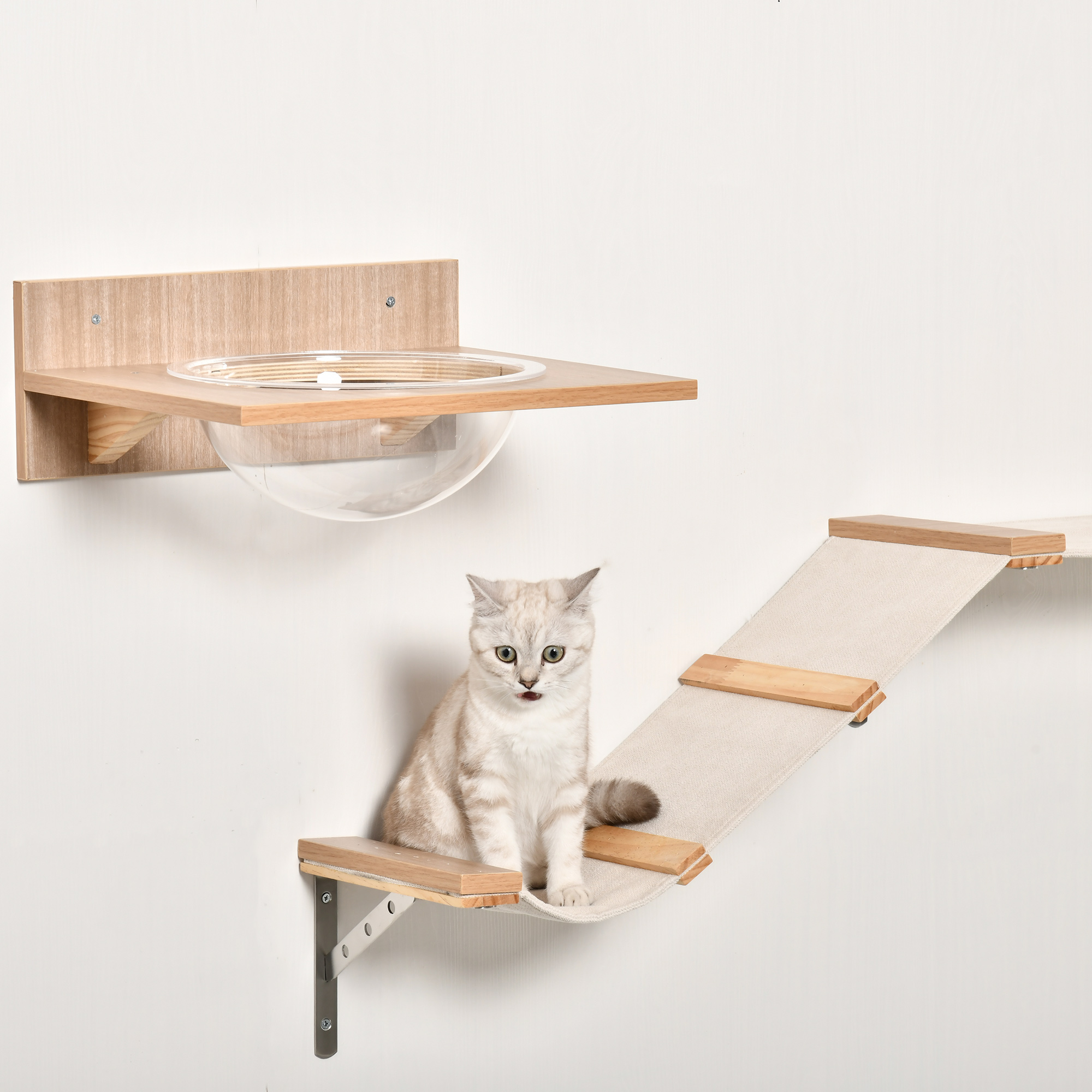Katze sitzt auf Hängebrücke. Holzregal und klare Schüssel an der Wand.