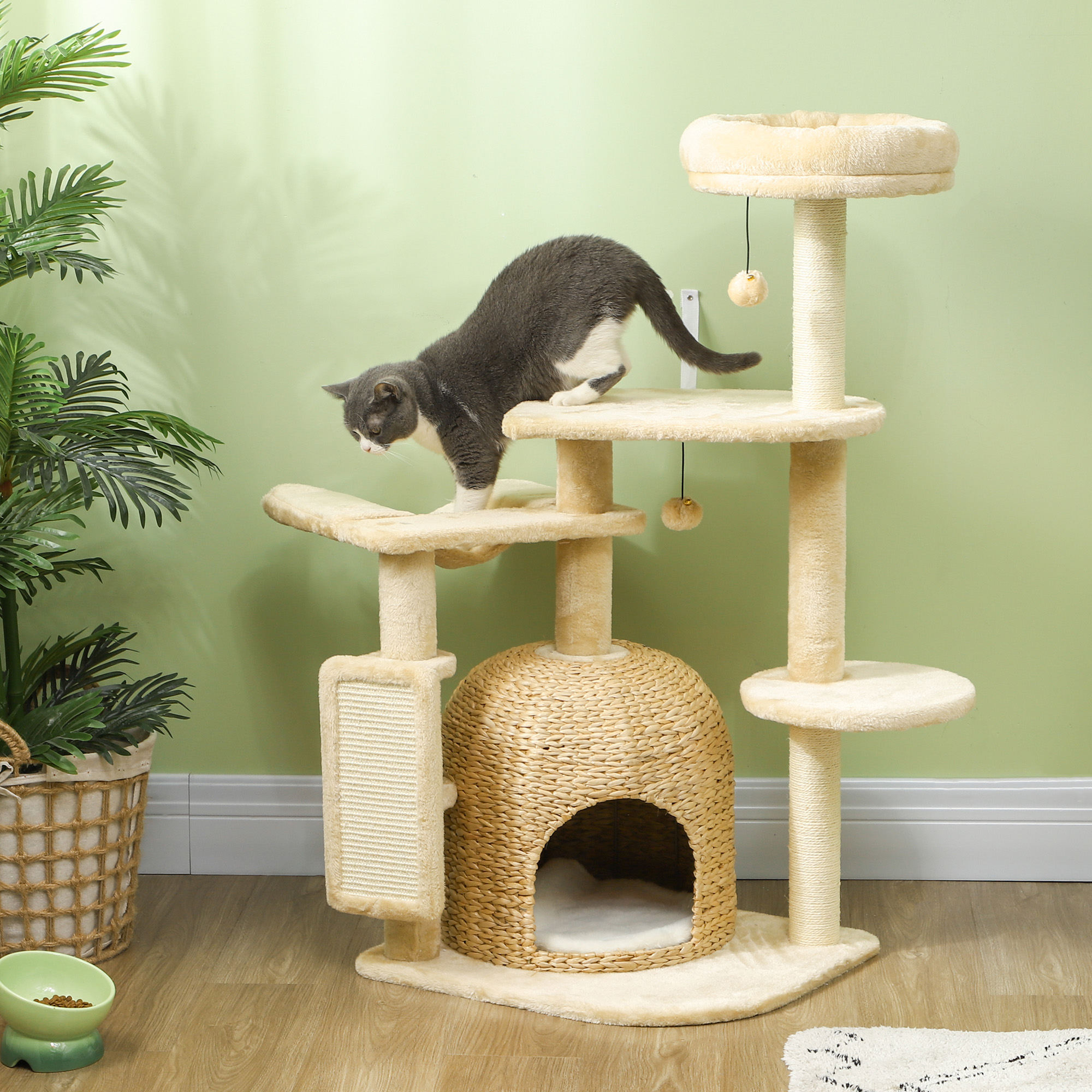Kratzbaum mit einer grau-weißen Katze, die darauf klettert.