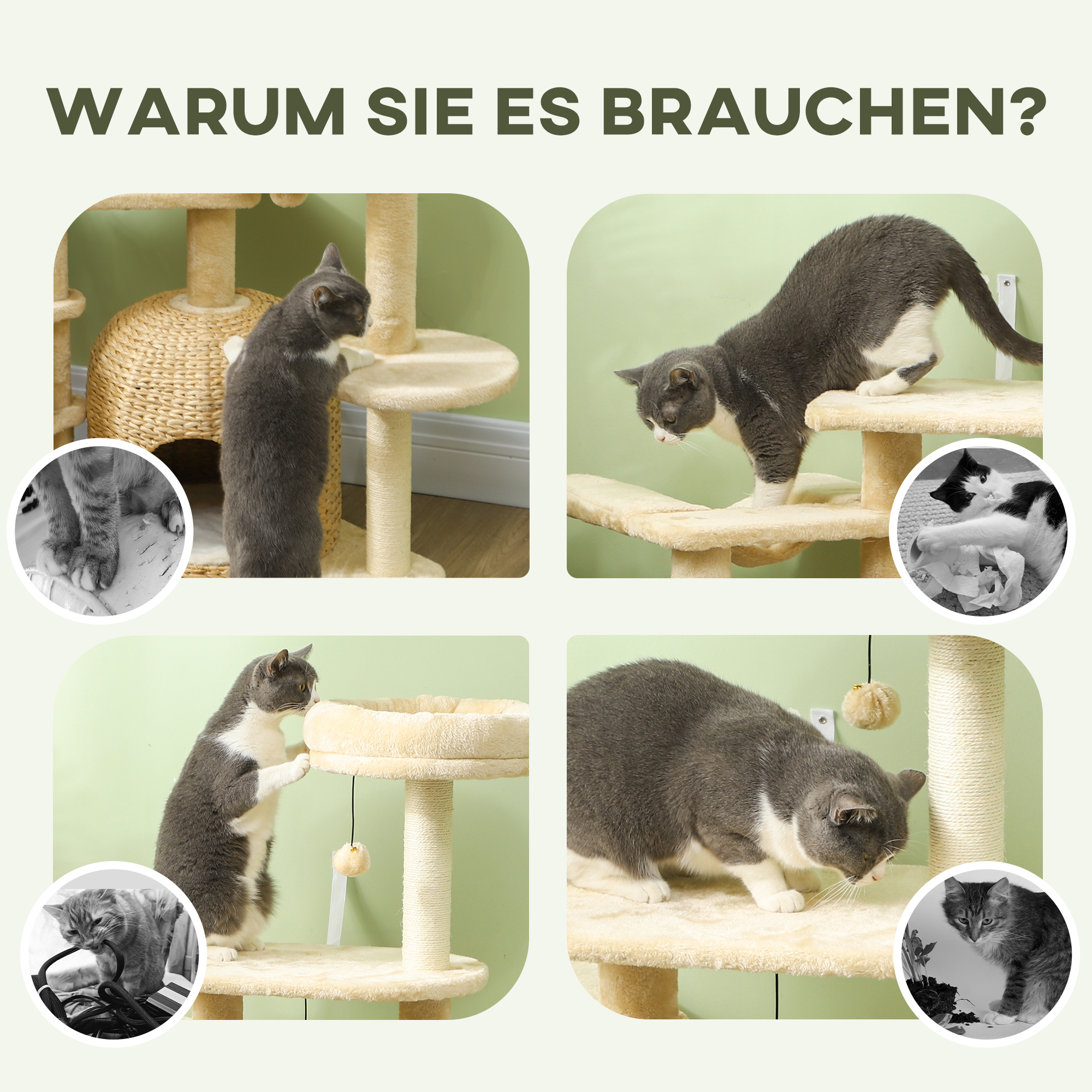 Mehrere Bilder von Katzen, die einen Kratzbaum benutzen.