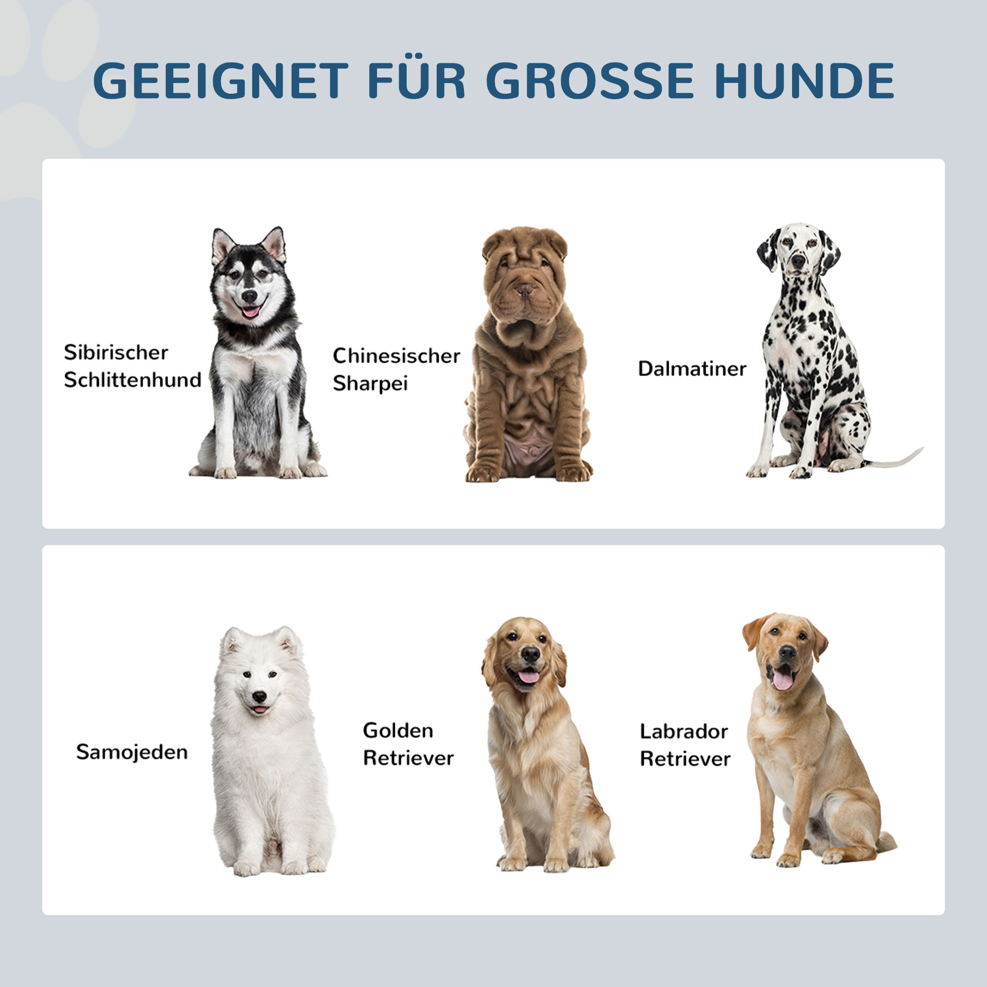 Hunde: Siberian Husky, Chinese Shar Pei, Dalmatiner, Samojede, Golden Retriever, Labrador.