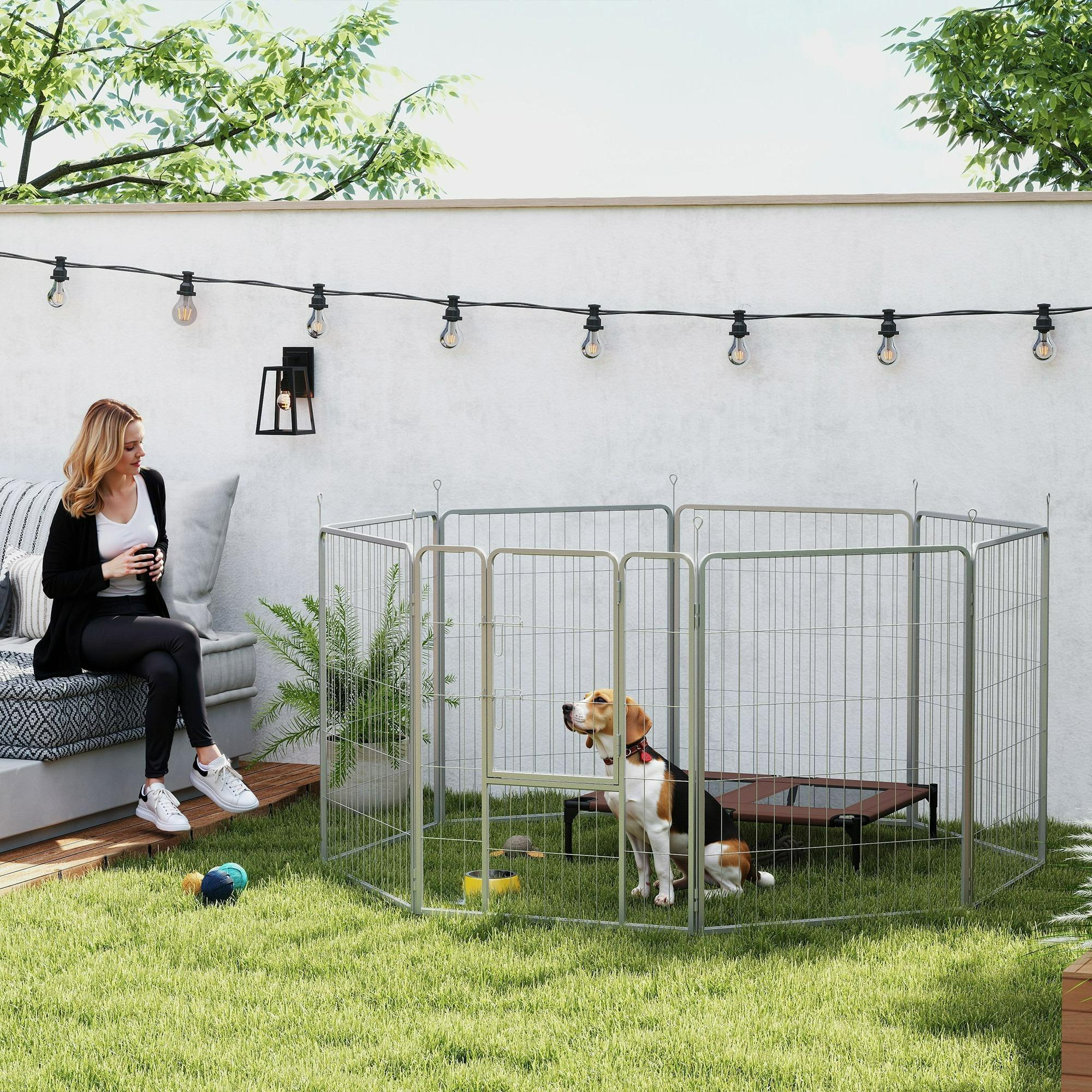 Hund in einem Drahtzaungehege, mit einer Frau in der Nähe. Gras, Bäume und eine Lichterkette. Umgebung im Freien.