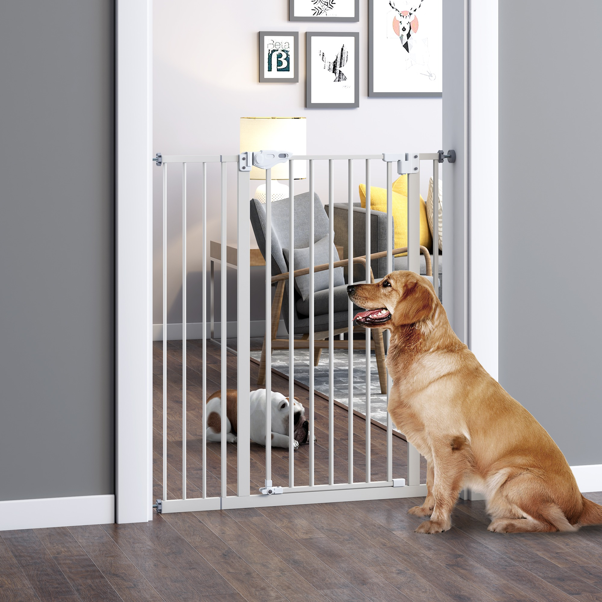 Ein Golden Retriever und eine Bulldogge hinter einem weißen Schutzgitter in einem Türrahmen. Der Raum hat Holzböden.