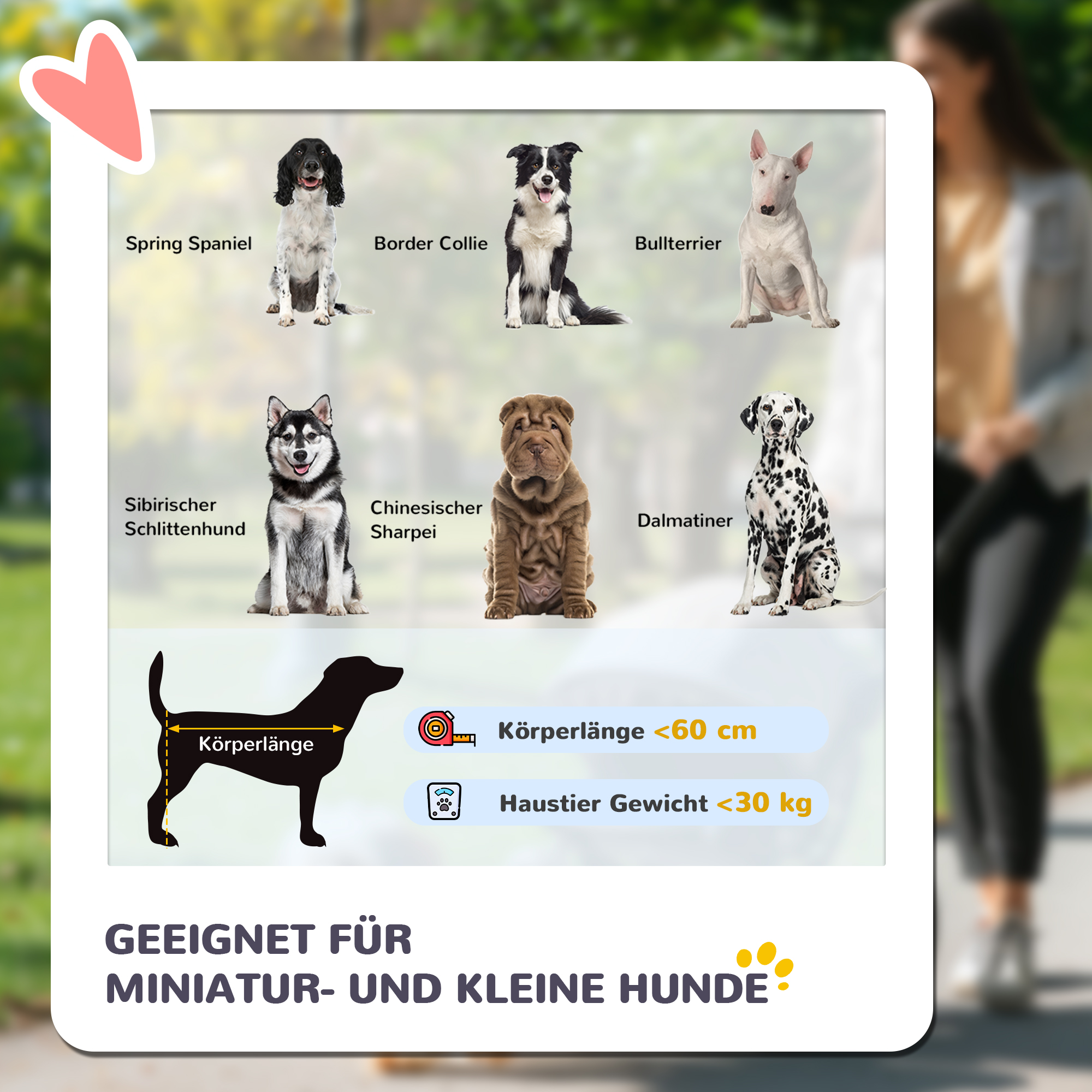 Diagramm mit verschiedenen Hunderassen und Größenrichtlinien für Hunde unter 60 cm und unter 30 kg.