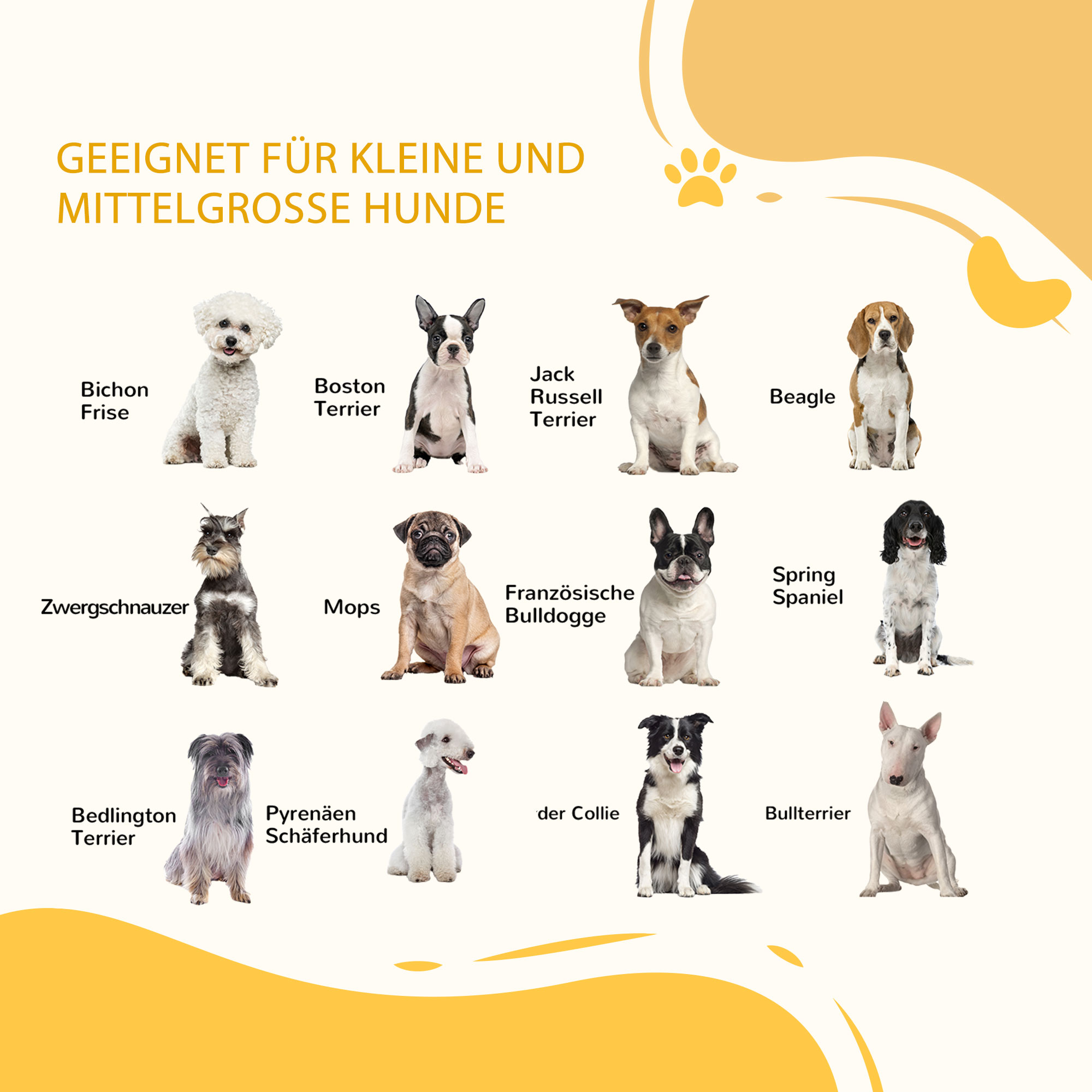 Verschiedene Hunderassen, darunter Bichon Frise, Boston Terrier und Beagle, mit Text 'Geeignet für kleine und mittelgroße Hunde'.