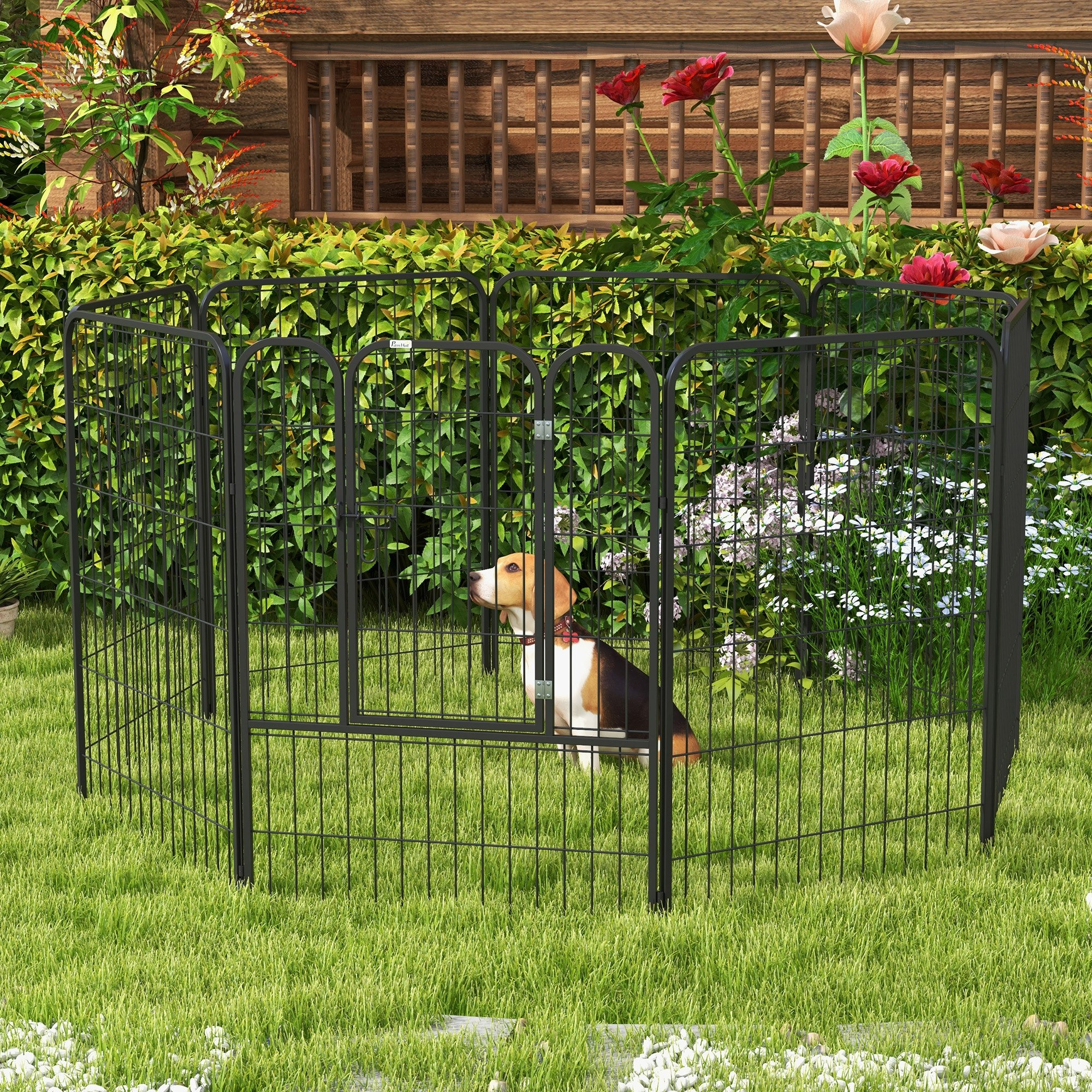 Schwarzes Metall-Haustiergehege in einer Gartensituation. Ein Hund ist im Gehege, im Gras.