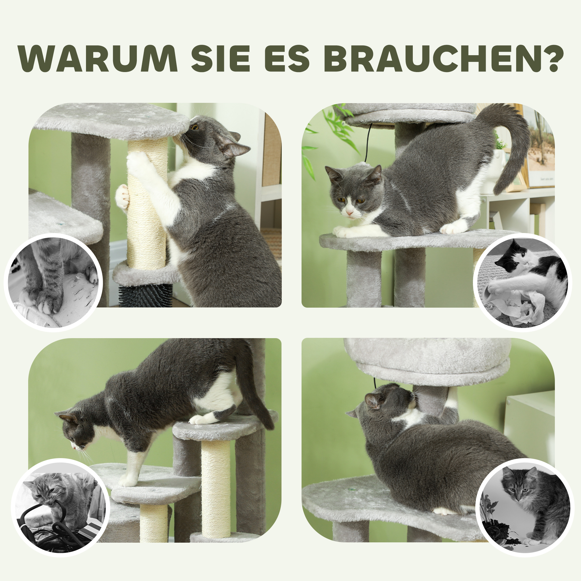 Katzen interagieren mit Katzenbäumen. Bilder mit Text. Katzen kratzen und spielen auf den Bäumen.