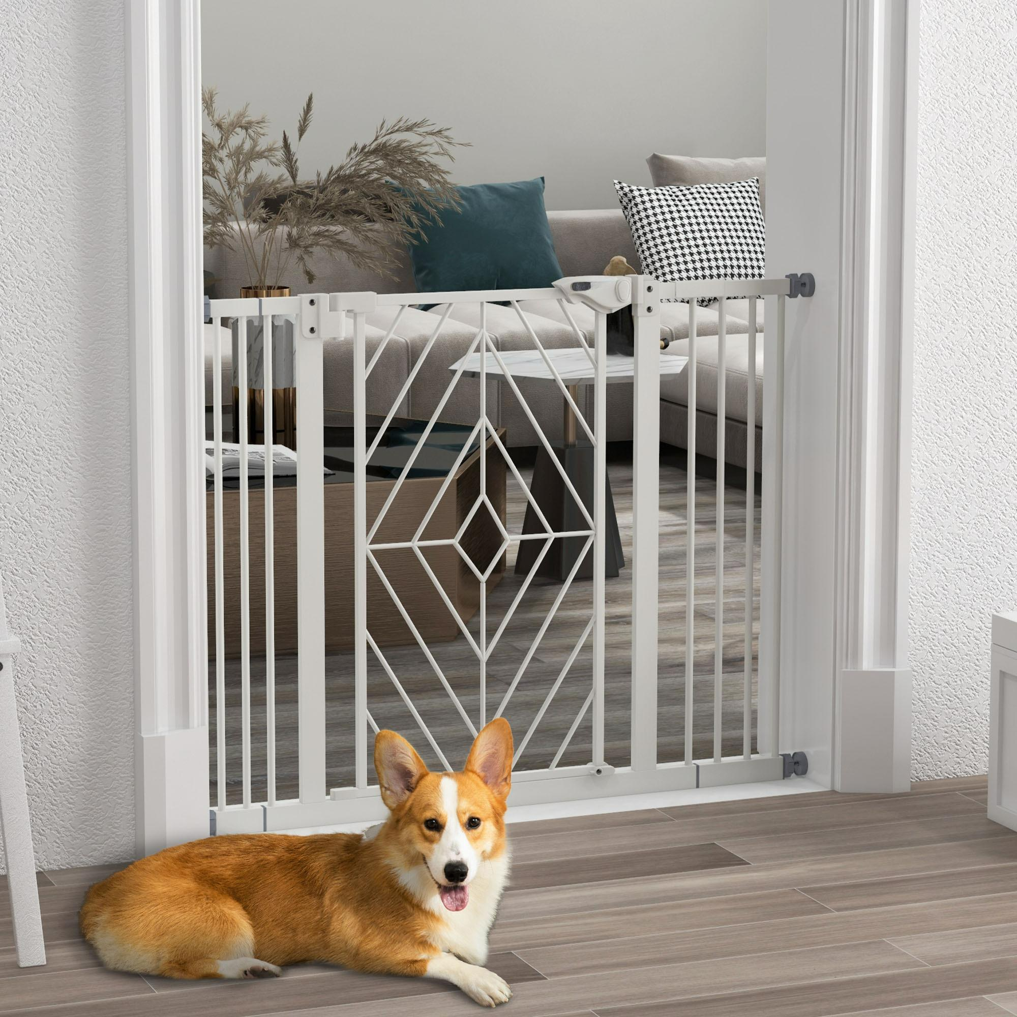 Ein Hund liegt hinter einem weißen Sicherheitsgitter und schaut in die Kamera.