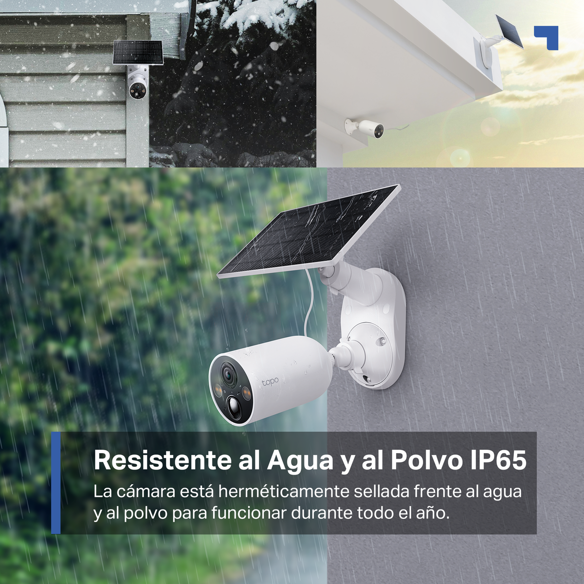 Immagini di telecamere di sicurezza Tapo installate in diversi ambienti esterni.