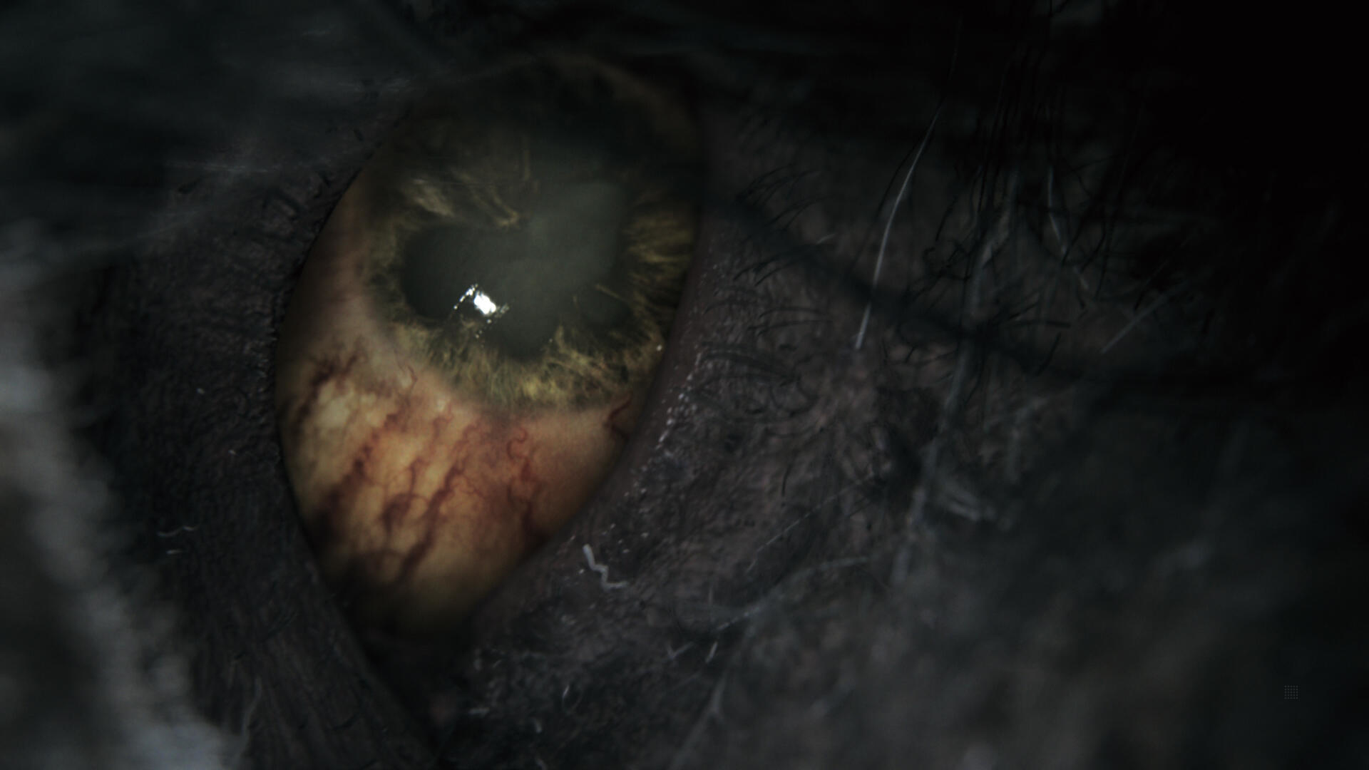 Nahaufnahme eines Auges mit roter und gelber Iris. Dunkle Umgebung. Das Auge ist im Fokus.
