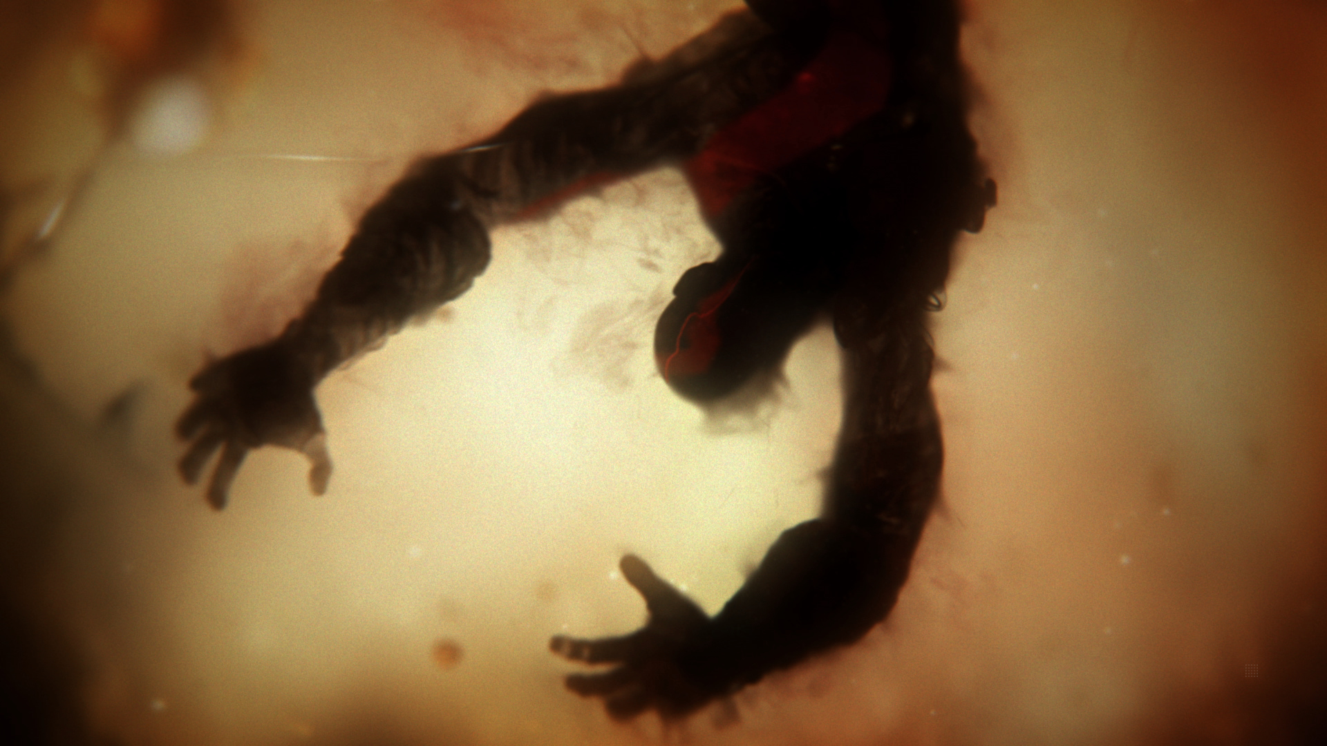 Abstrakcyjny obraz z ciemną postacią. Ciepłe, rozmyte tło z efektem dymu.