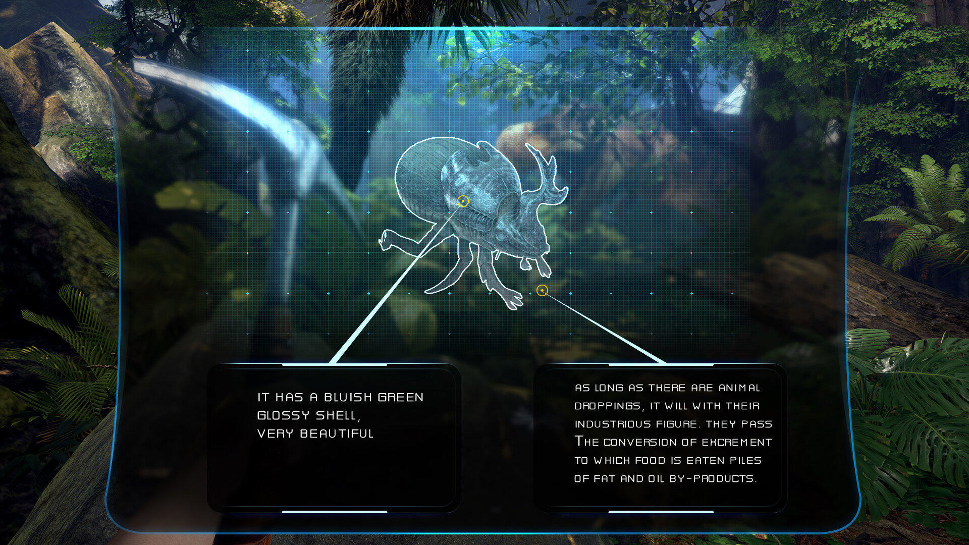 Interfejs z diagramem owada i opisami tekstowymi cech i diety owada.