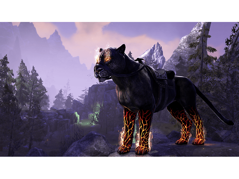 BETHESDA The Elder Scrolls Online : Summerset | MediaMarkt