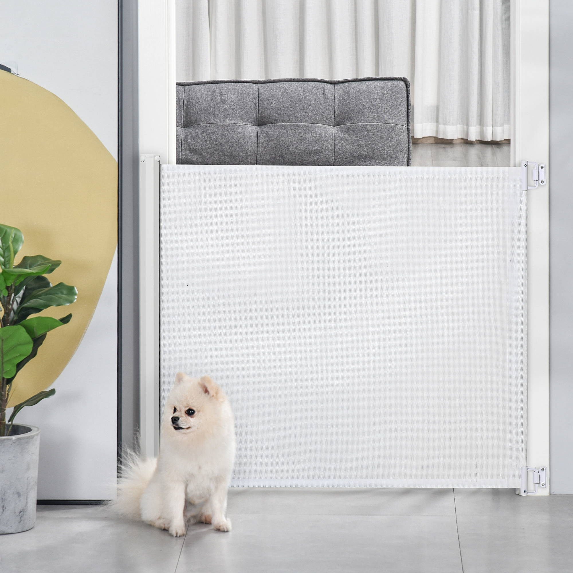 Weißes Haustiertor, Hund davor, Raumeinstellung.