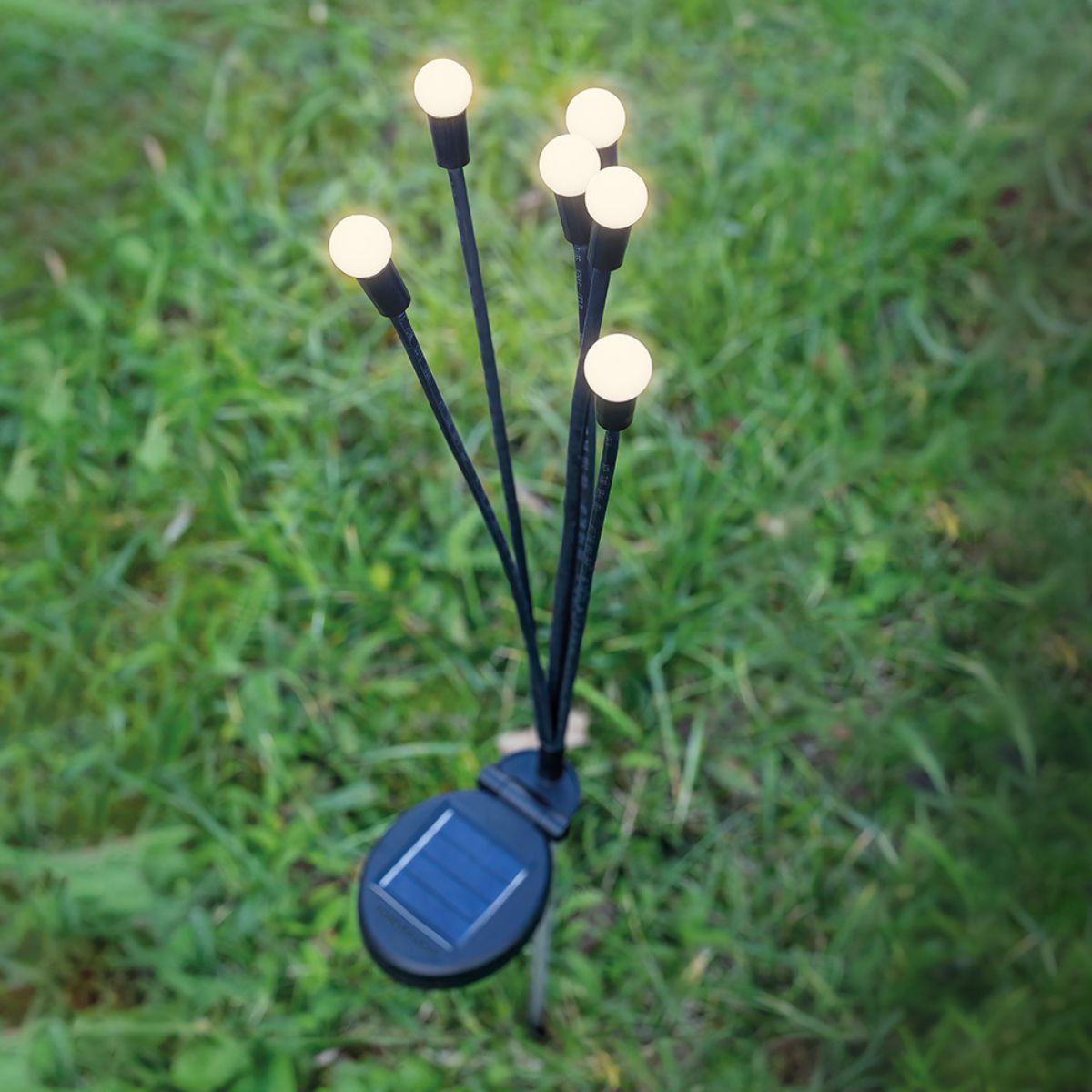 Solar-Gartenleuchten mit weißen Glühbirnen, schwarzen Stielen und Solarpanel-Basis, auf grünem Gras.