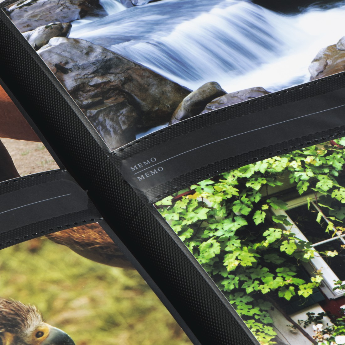 Otwarty album ze zdjęciami. Zdjęcia natury. Wodospad, skały i rośliny.