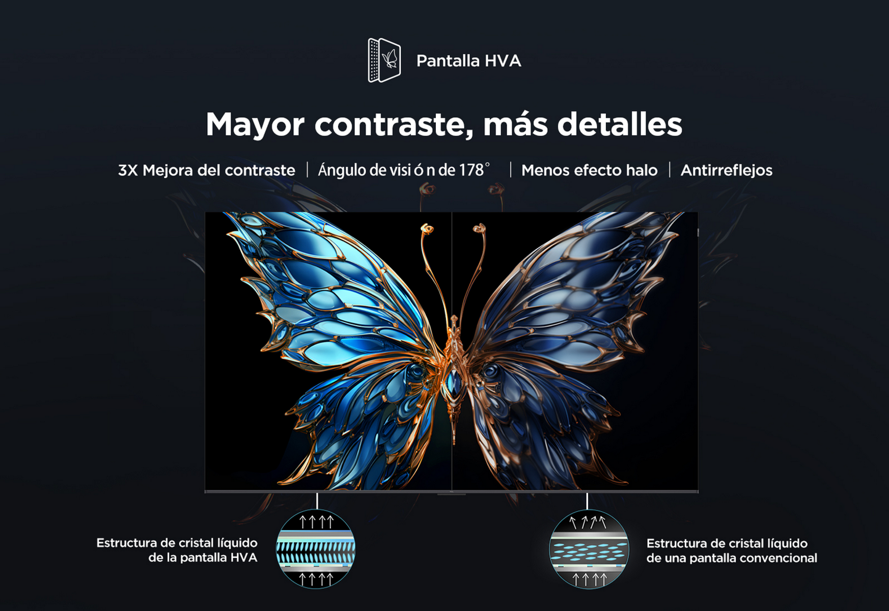 Ekran TV z motylem, podzielonym na dwie części. Podkreśla kontrast i szczegóły.