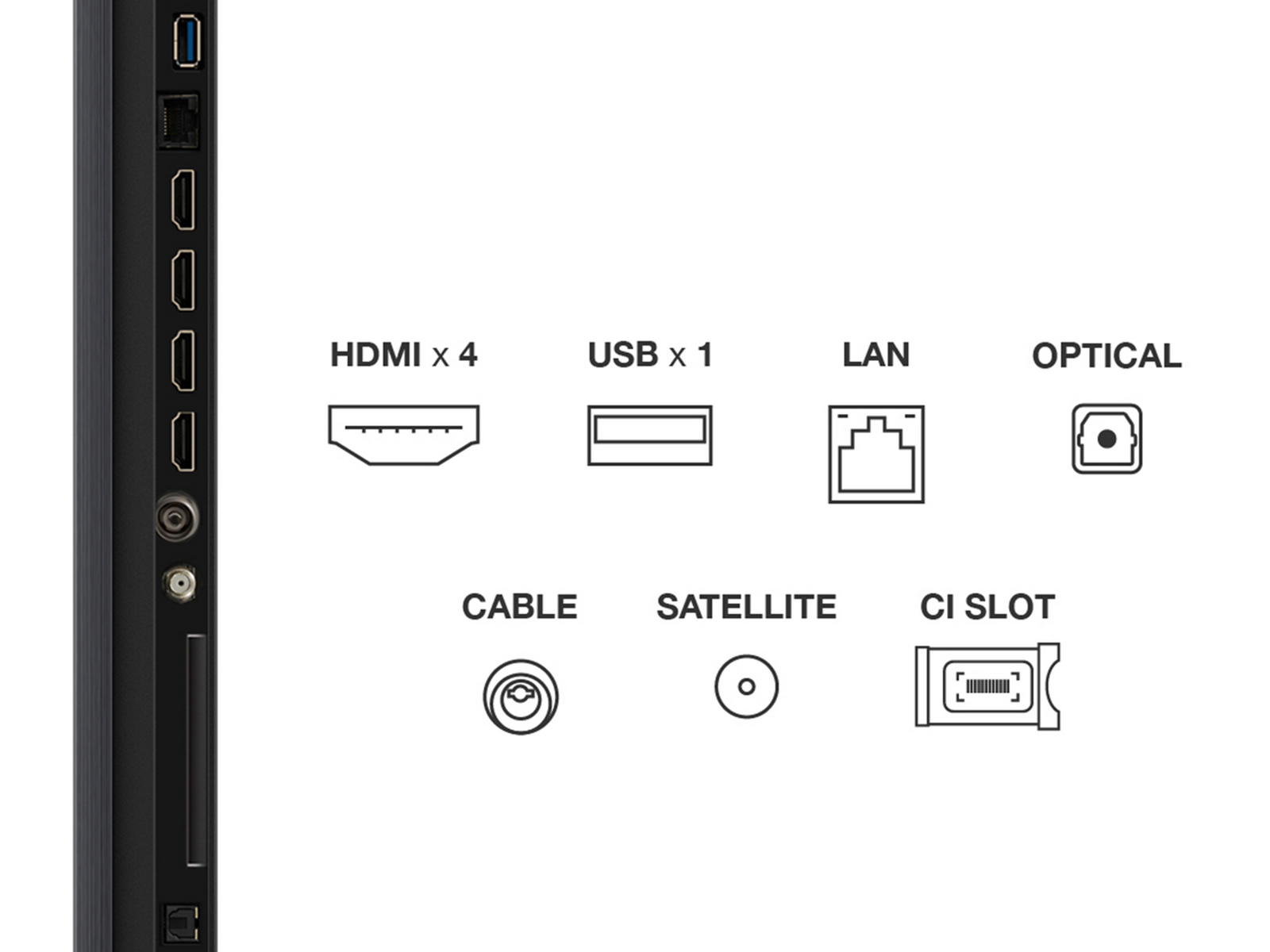 Telewizor 98-calowy z wymiarami i pilotem, pokazujący kwiatową scenę na ekranie.