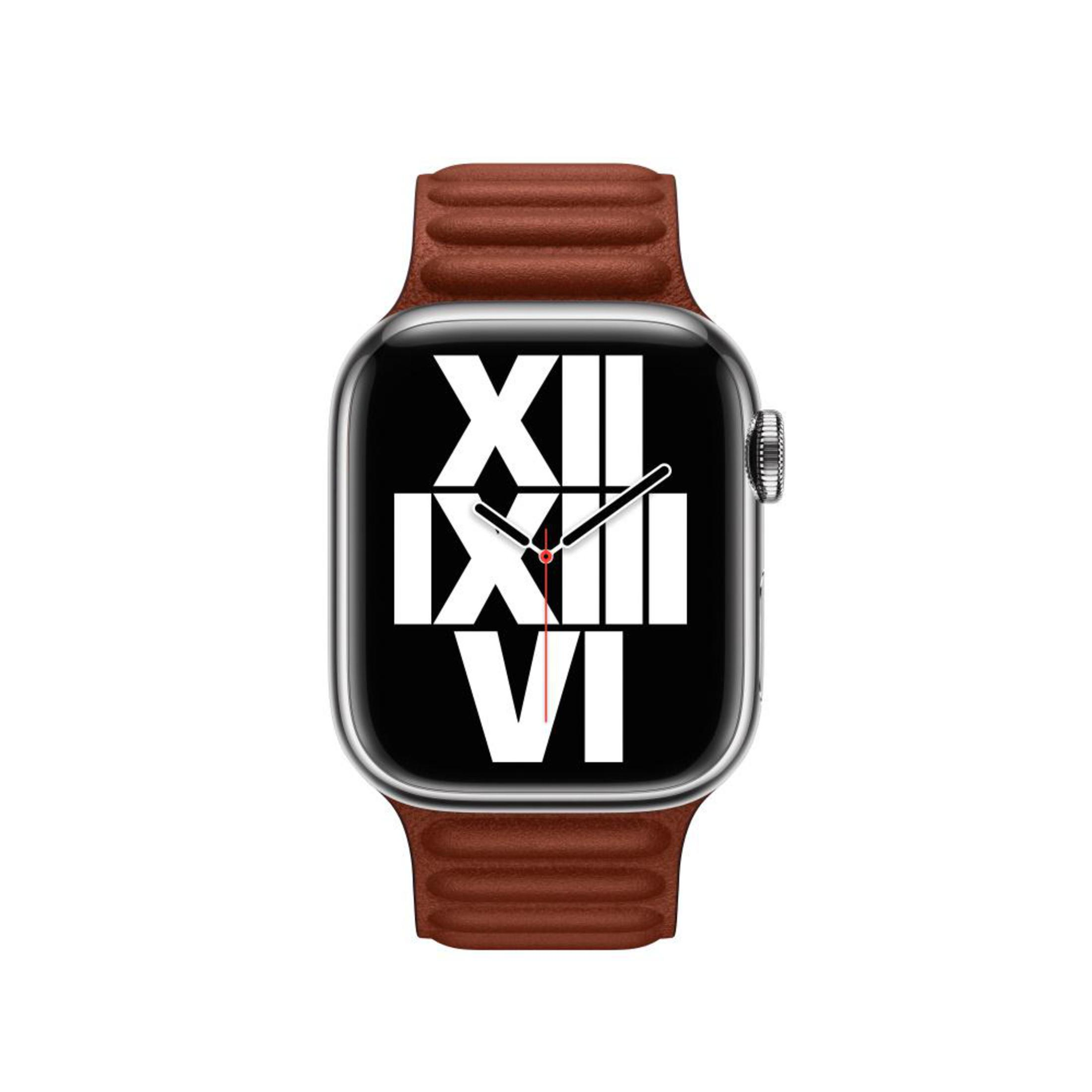 Silver Apple Watch with brown leather band. The watch face displays Roman numerals.