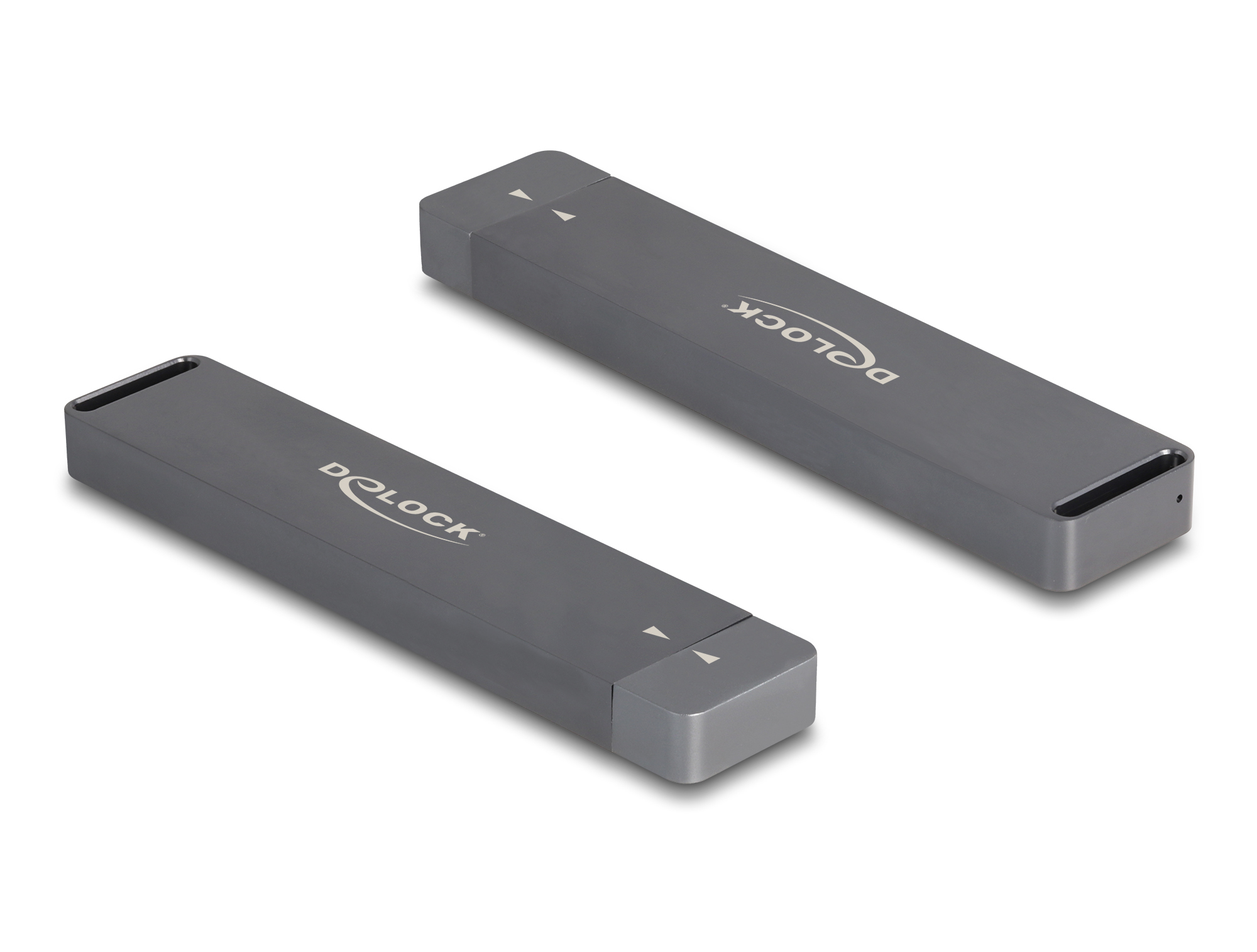 Due enclosure SSD grigie, rettangolari, con marchio 'DeLock'.