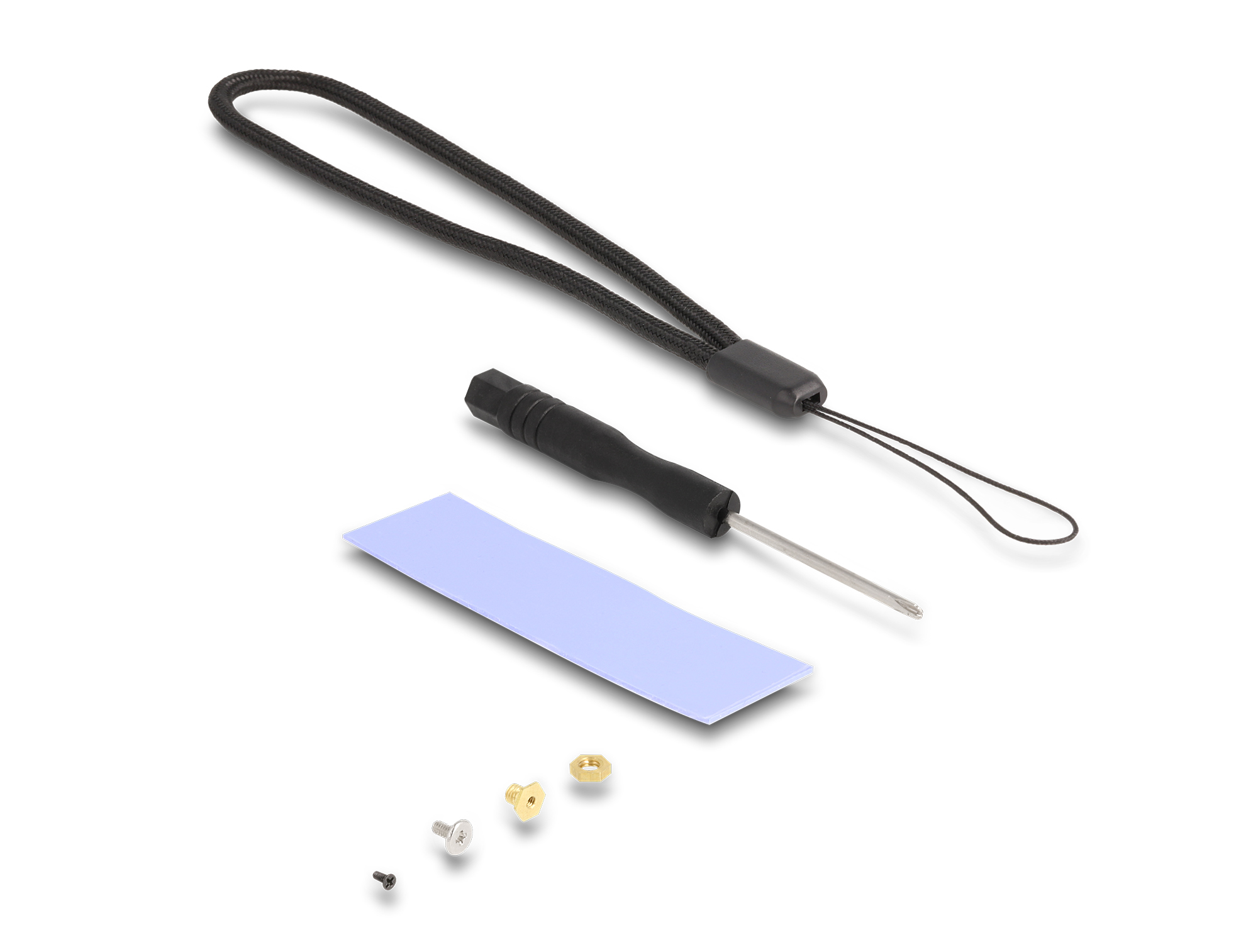Accessori: cinturino, cacciavite, cuscinetto termico e viti su bianco.