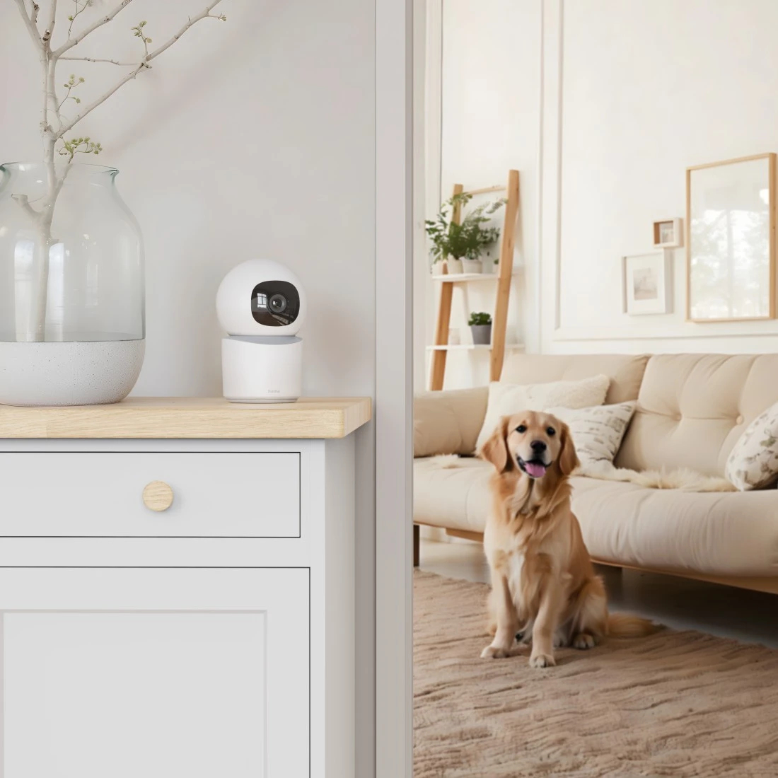 Scena w salonie z białą kamerą bezpieczeństwa na szafce, psem i sofą.