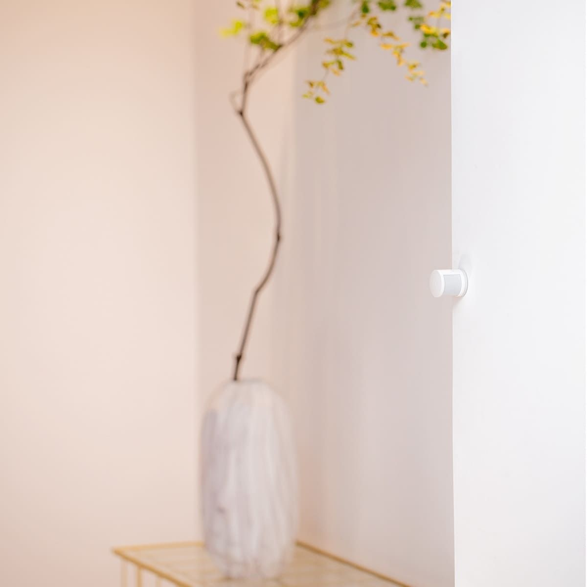 Un muro bianco, un vaso con un ramo e un piccolo oggetto bianco sul lato destro.