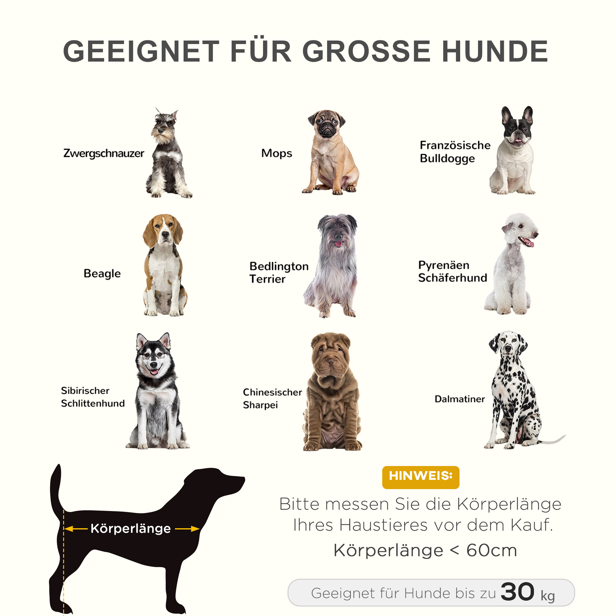 Hunde verschiedener Rassen werden mit Text gezeigt. Es enthält Messungen der Körperlänge und des Gewichts.