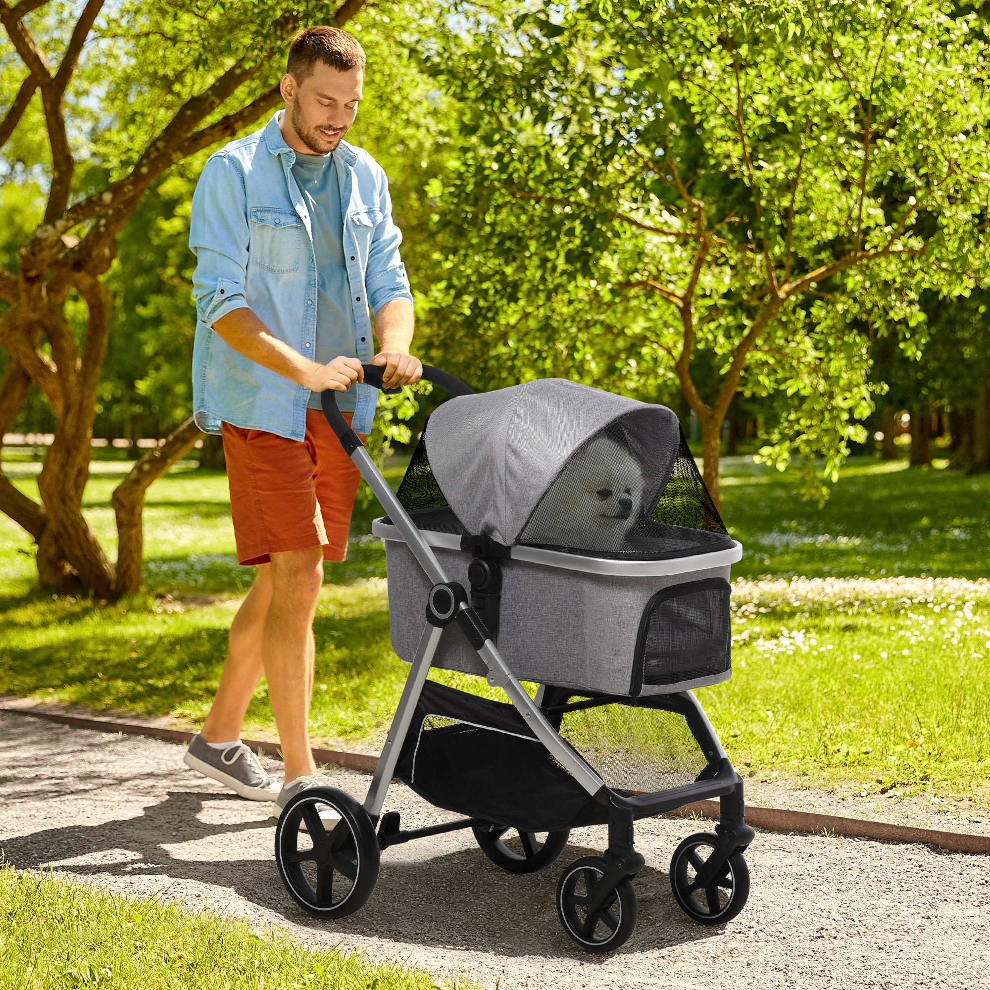 Mann schiebt Kinderwagen mit kleinem Hund darin, auf einem Weg im Park.