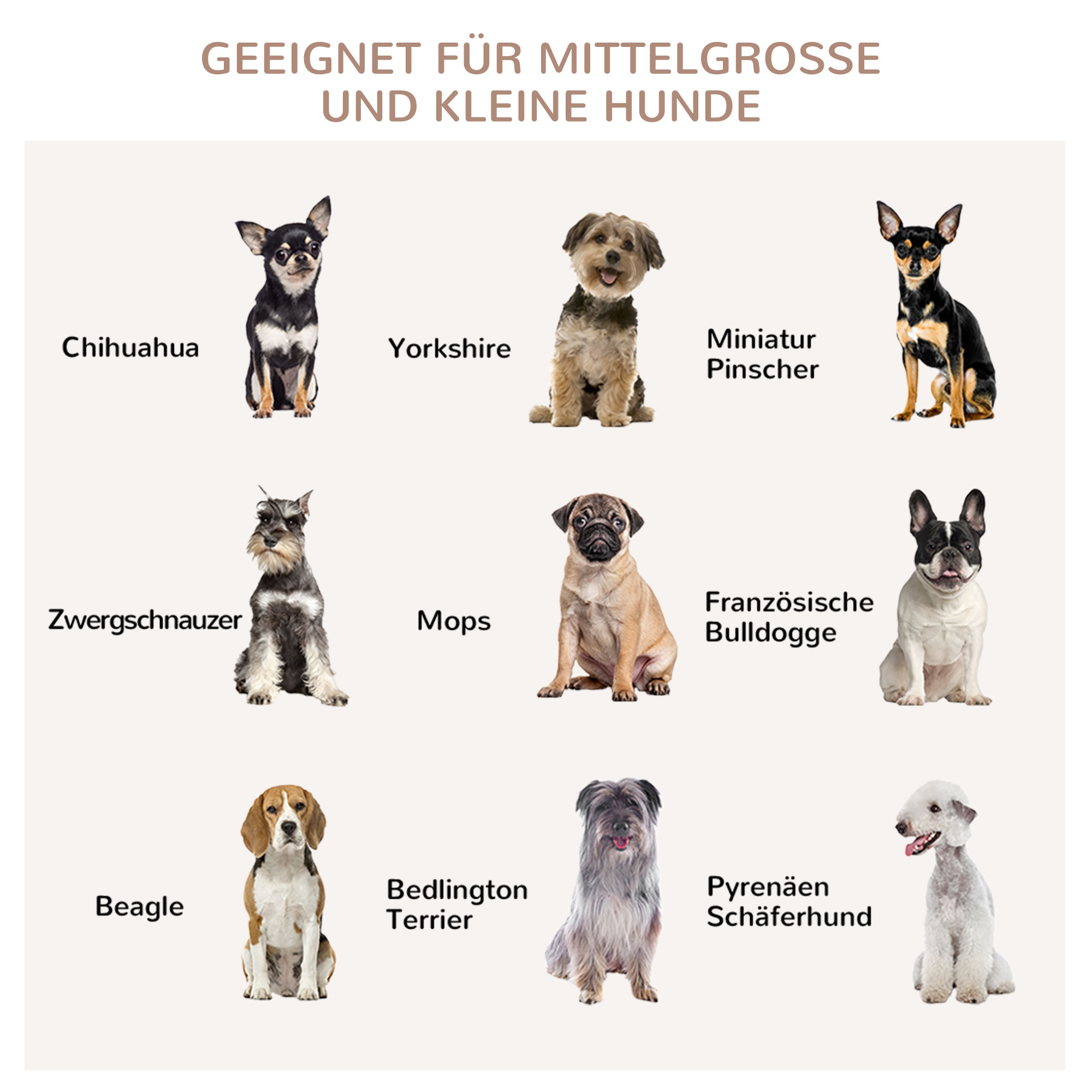 Neun Hunderassen werden gezeigt: Chihuahua, Yorkshire, Zwergspitz, usw. Text sagt: Geeignet für kleine und mittelgroße Hunde.