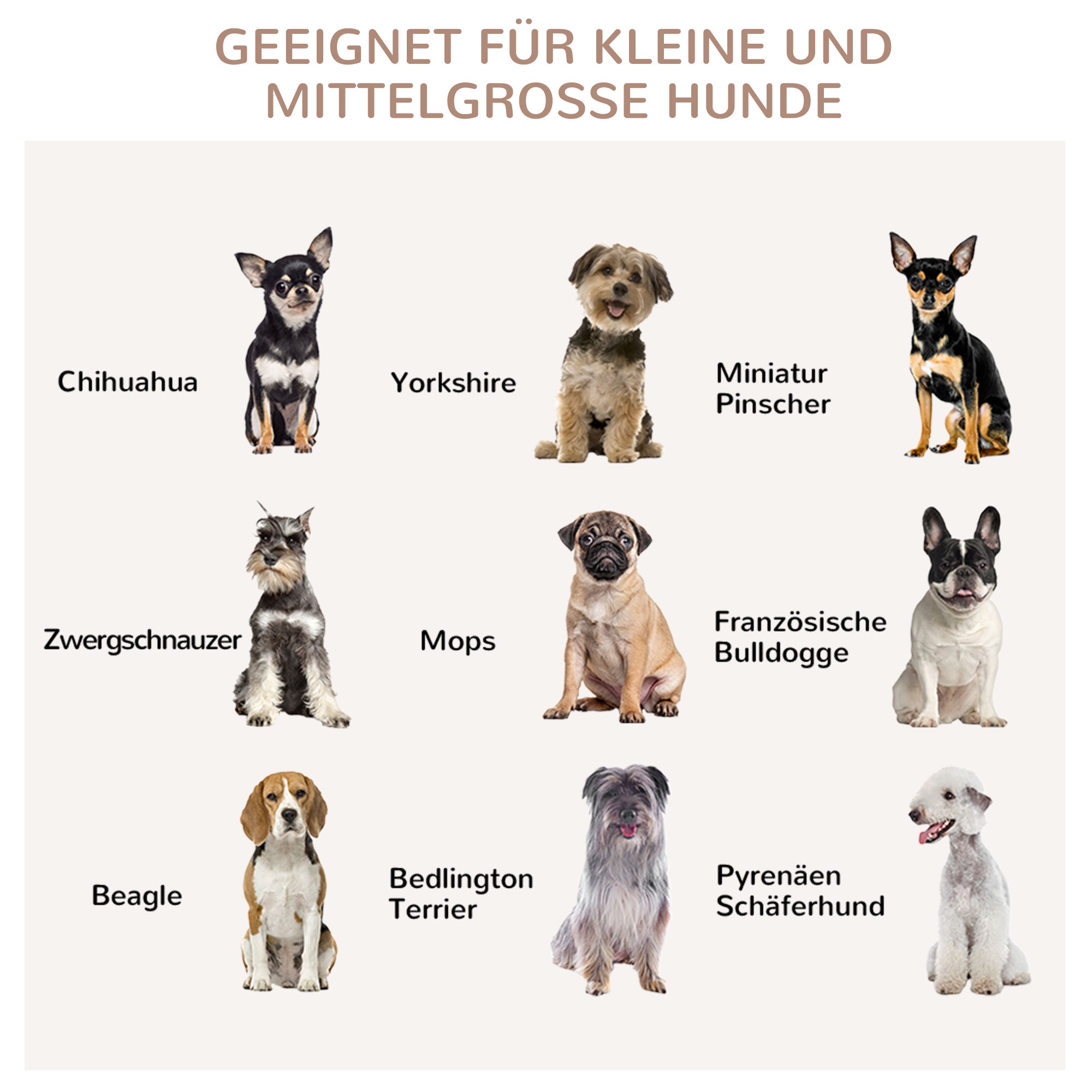 Illustration mit verschiedenen Hunderassen, mit deutschem Text oben: 'Geeignet für kleine und mittelgroße Hunde'.