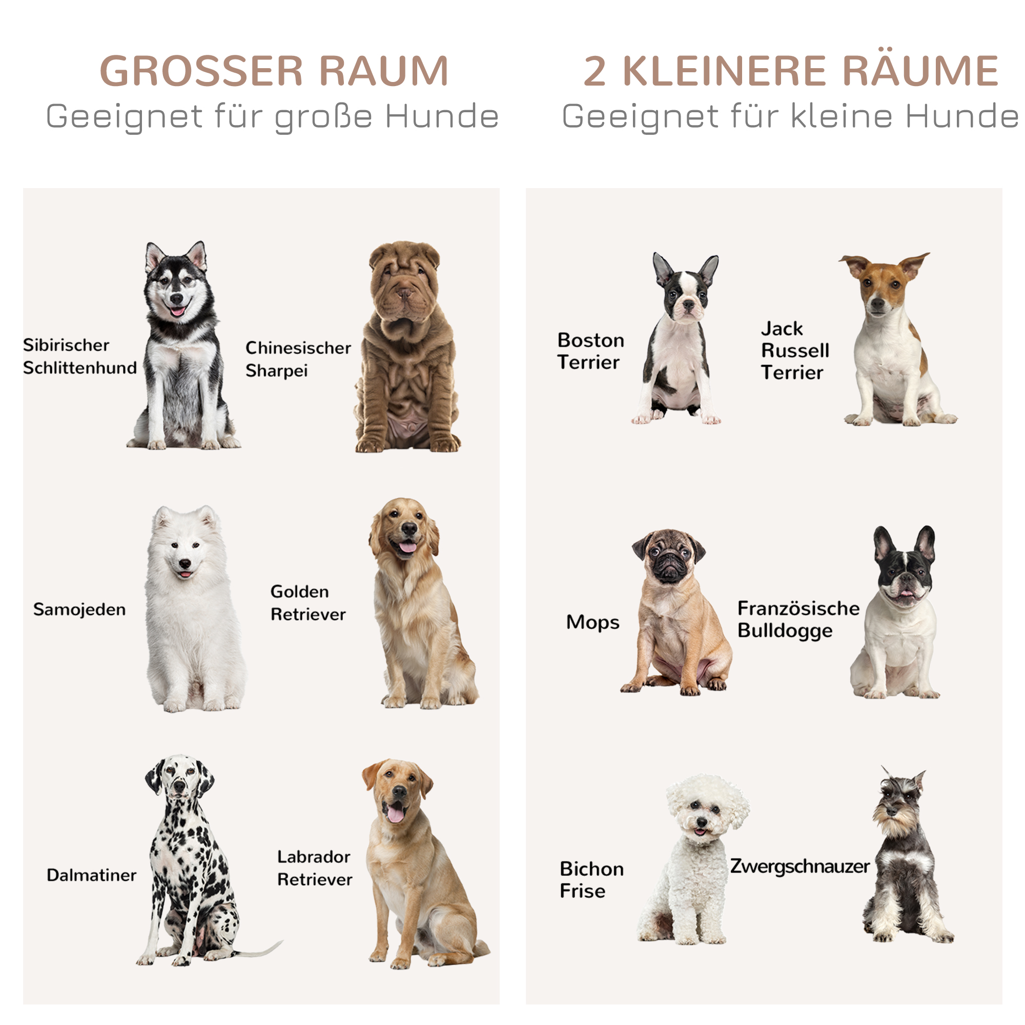 Zwei Diagramme mit verschiedenen Hunderassen, eines für große und eines für kleine Hunde.