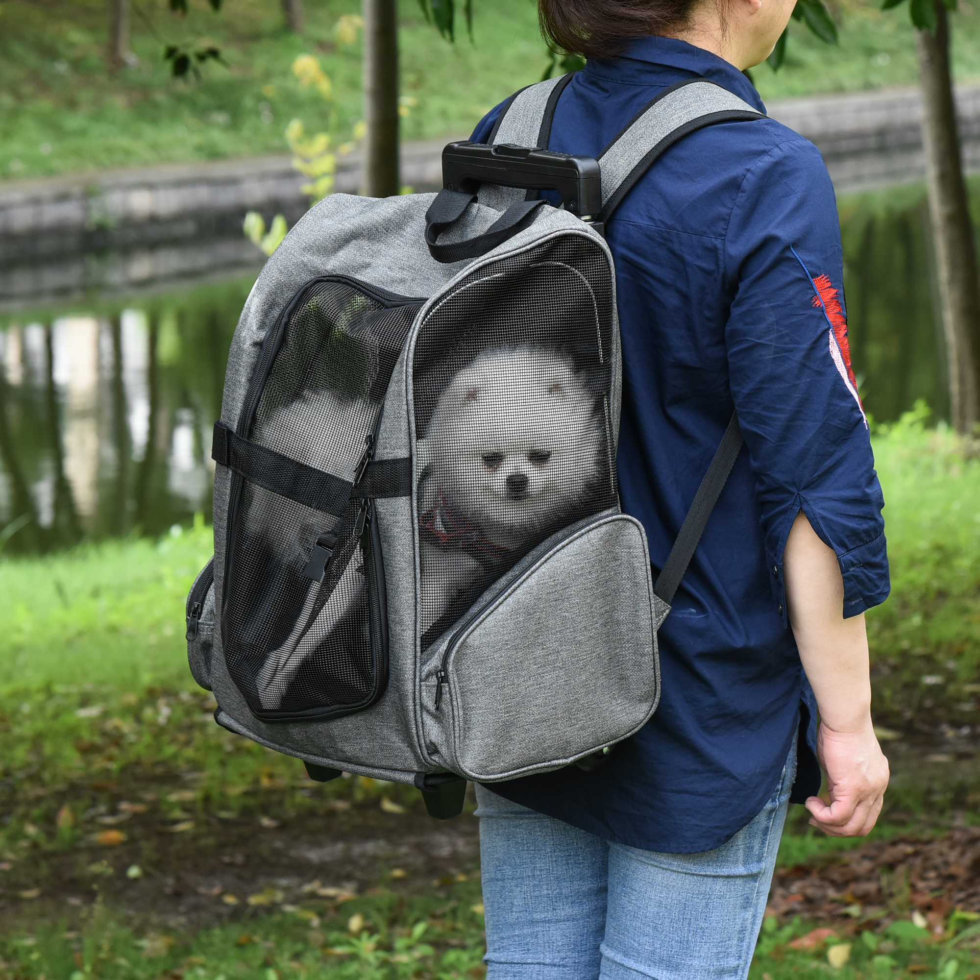 Eine Frau trägt einen kleinen Hund in einem grauen Rucksack. Der Hund schaut aus dem Netzfenster.